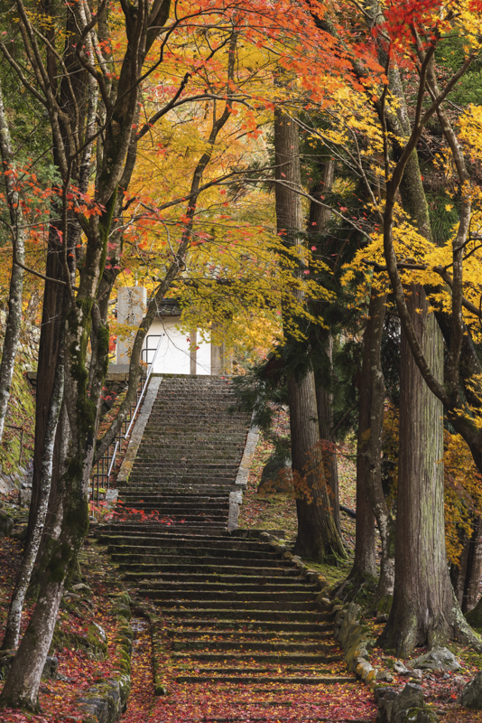 EOS R5／200mm／マニュアル露出（F13、1.3秒）／ ISO 200／ WB：オート