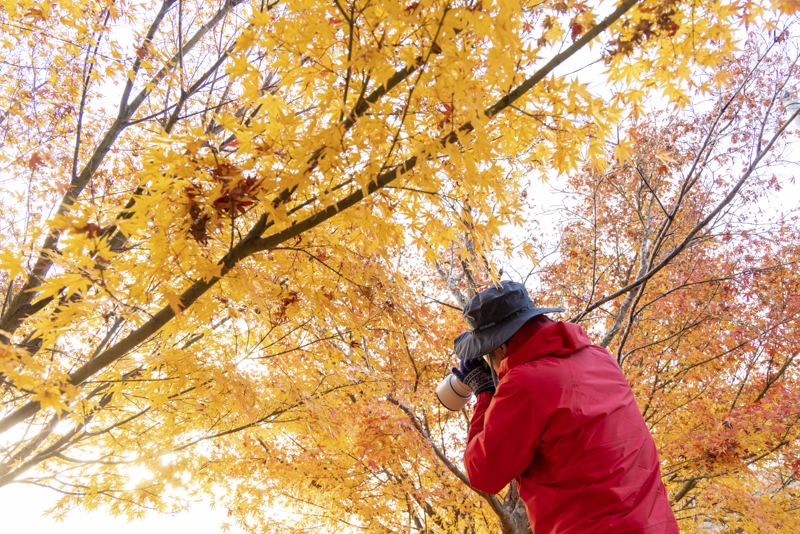 EOS R5／90mm／マニュアル露出（F10、1/20秒）／ISO 800／WB：オート