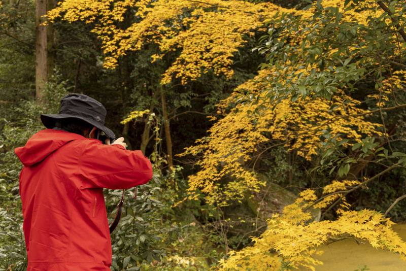 EOS R5／200mm／マニュアル露出（F10、1/50秒）／ISO 200／WB：オート