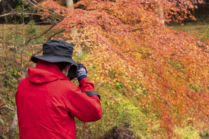 EOS R5／200mm／マニュアル露出（F4、1/500秒）／ISO 2000／WB：オート