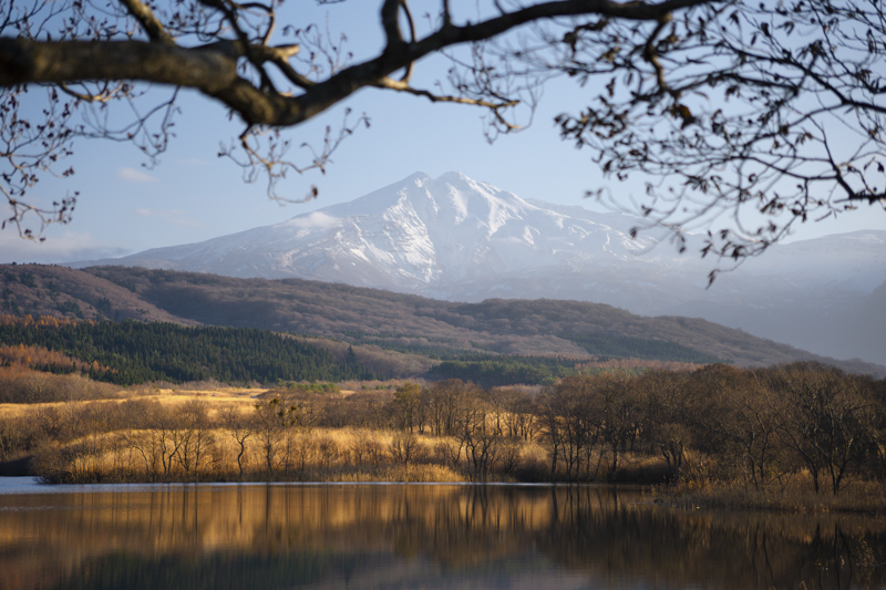  ZV-E10／50mm（75mm相当）／絞り優先AE（F2.8、1/2,000秒、－0.7EV）／ISO 100／WB：オート