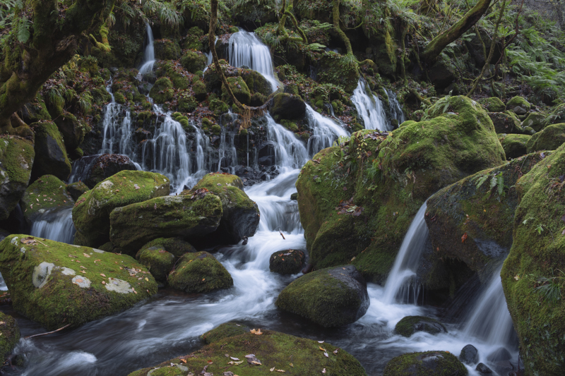 ZV-E10／18mm（27mm相当）／シャッター優先AE（F10、1/5秒、－1.3EV）／ISO 100／WB：オート