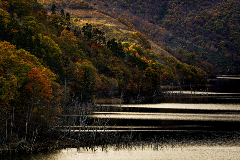 α7R III／FE 100-400mm F4.5-5.6 GM OSS／241mm／マニュアル露出（F16、1/8秒）／ISO 100／WB：太陽光／ソフトGND16、ドロップインCPL使用