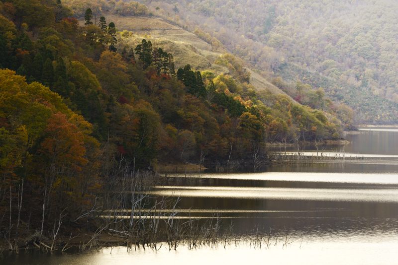フィルターなし