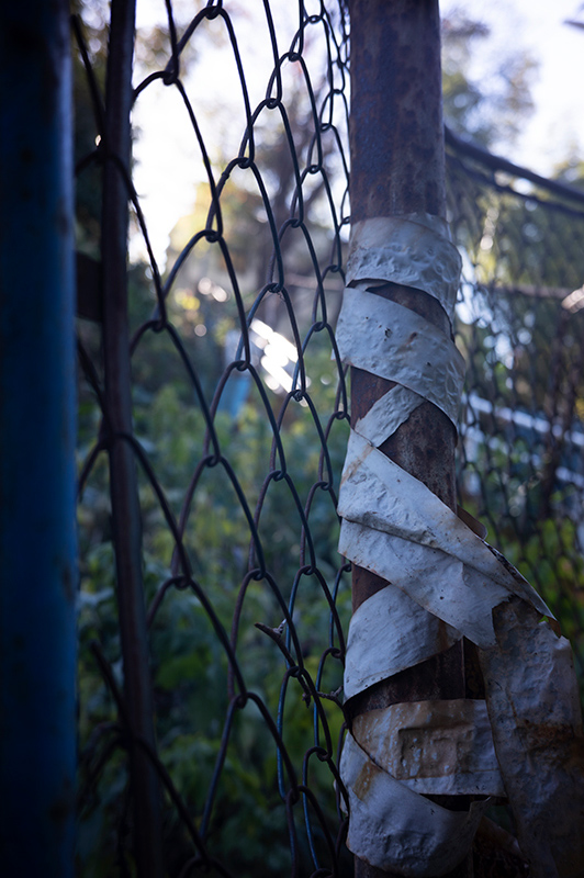 合焦させたところの解像は結構いい。ボケ味も最周辺部に光源とか持ってこない限りそんなには暴れない。コントラストは少し低め。<br>SIGMA fp L / 7Artisans 35mm F5.6 / 絞り優先AE（F5.6、1/80秒、-0.7EV） / ISO 100