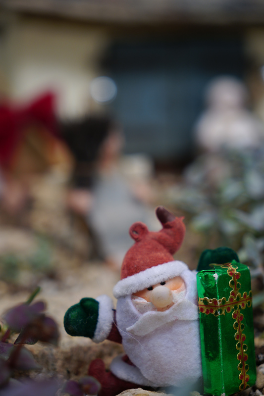 寄れるしズームもできるし、不満点はあまり感じません<br>SIGMA fp / 18-50mm F2.8 DC DN / 絞り優先AE（F2.8、1/125秒、-1/3EV） / ISO 400