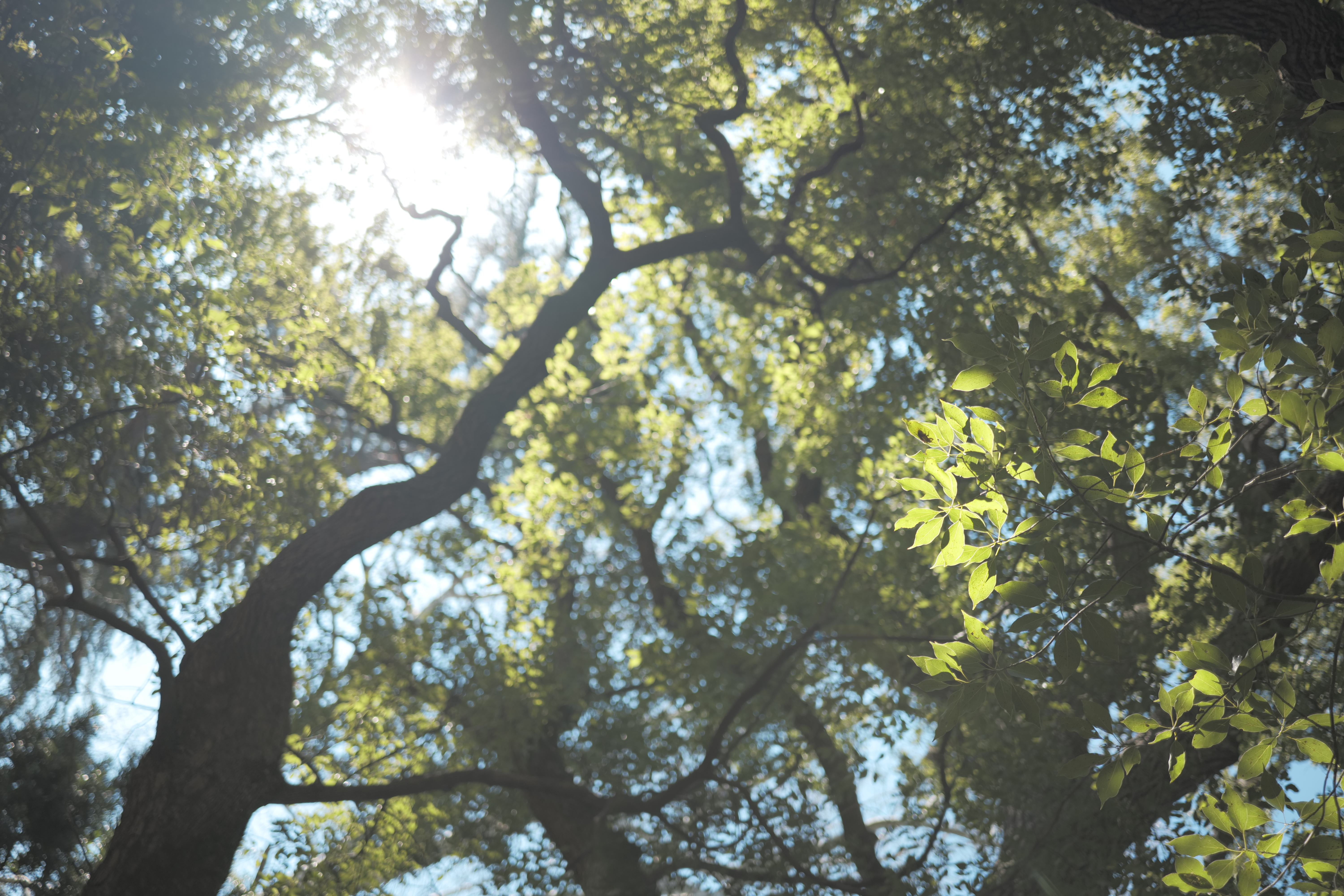 <span class="fnt-85">LUMIX S5 / LUMIX S 35mm F1.8 / 絞り優先AE（F1.8・1/800秒・+0.3EV） / ISO 100</span>