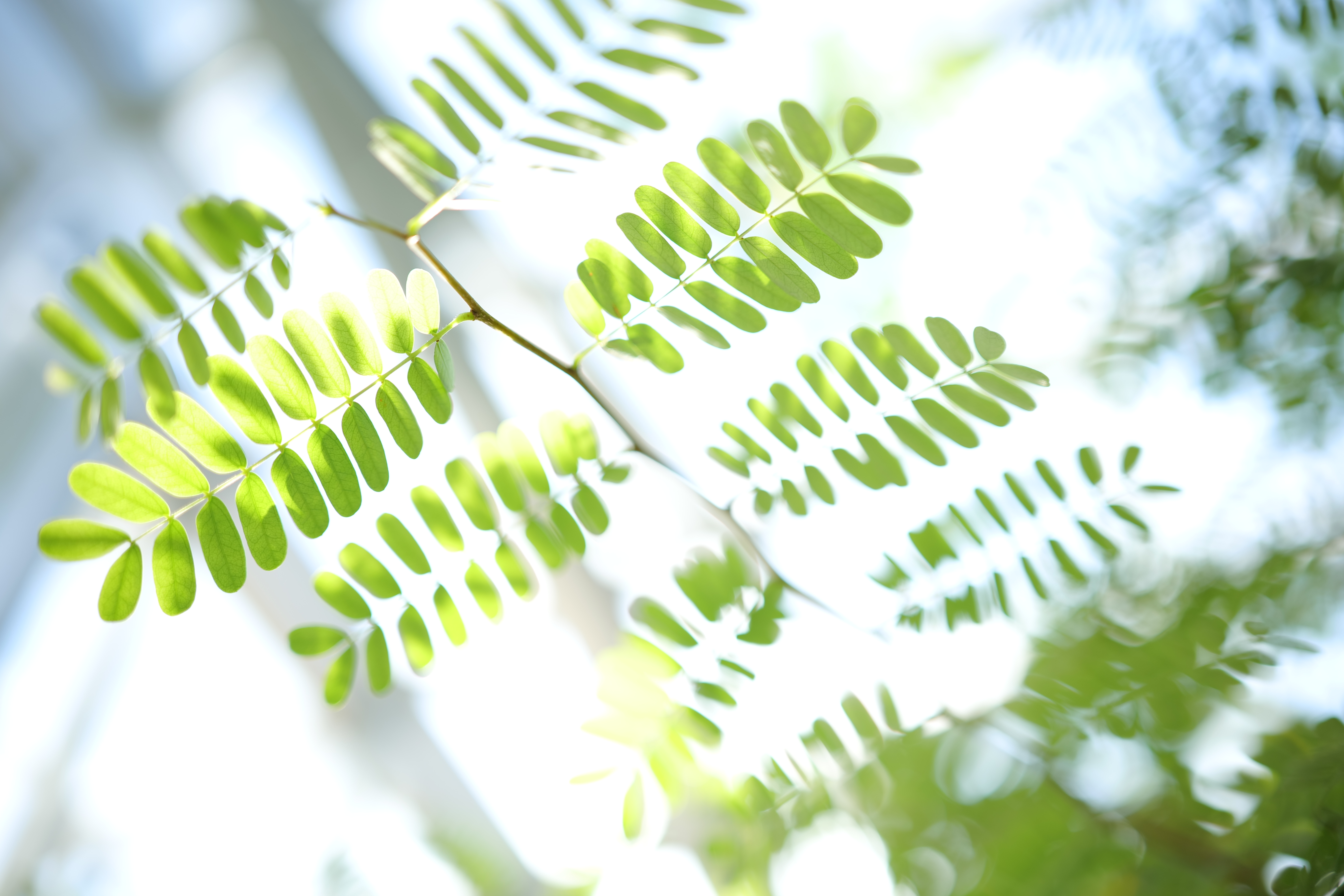 <span class="fnt-85">LUMIX S5 / LUMIX S 35mm F1.8 / プログラムAE（F2.2・1/125秒・+3.0EV） / ISO 100</span>