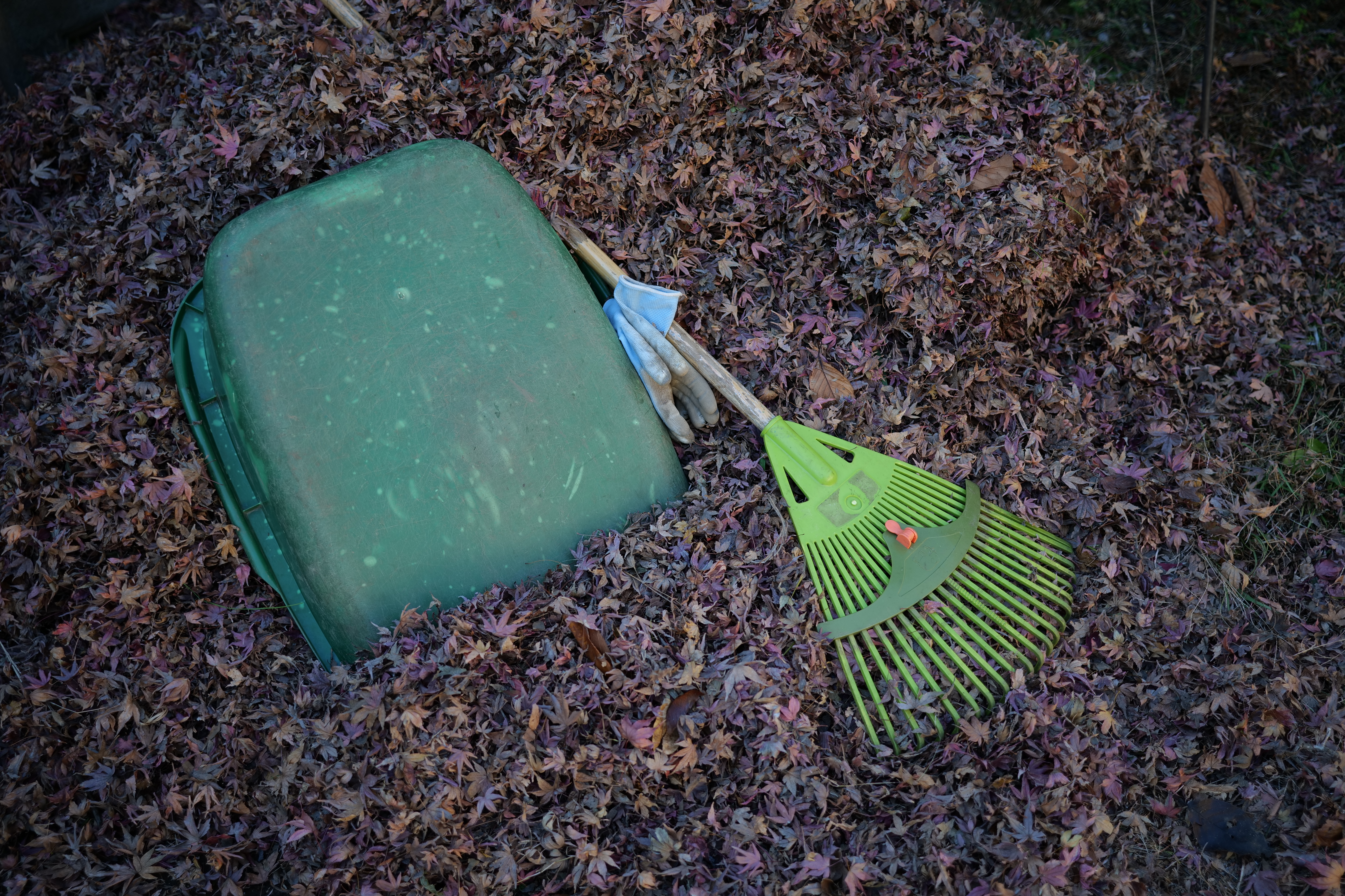 <span class="fnt-85">LUMIX S5 / LUMIX S 35mm F1.8 / プログラムAE（F2.2・1/200秒・-1.0EV） / ISO 100</span>