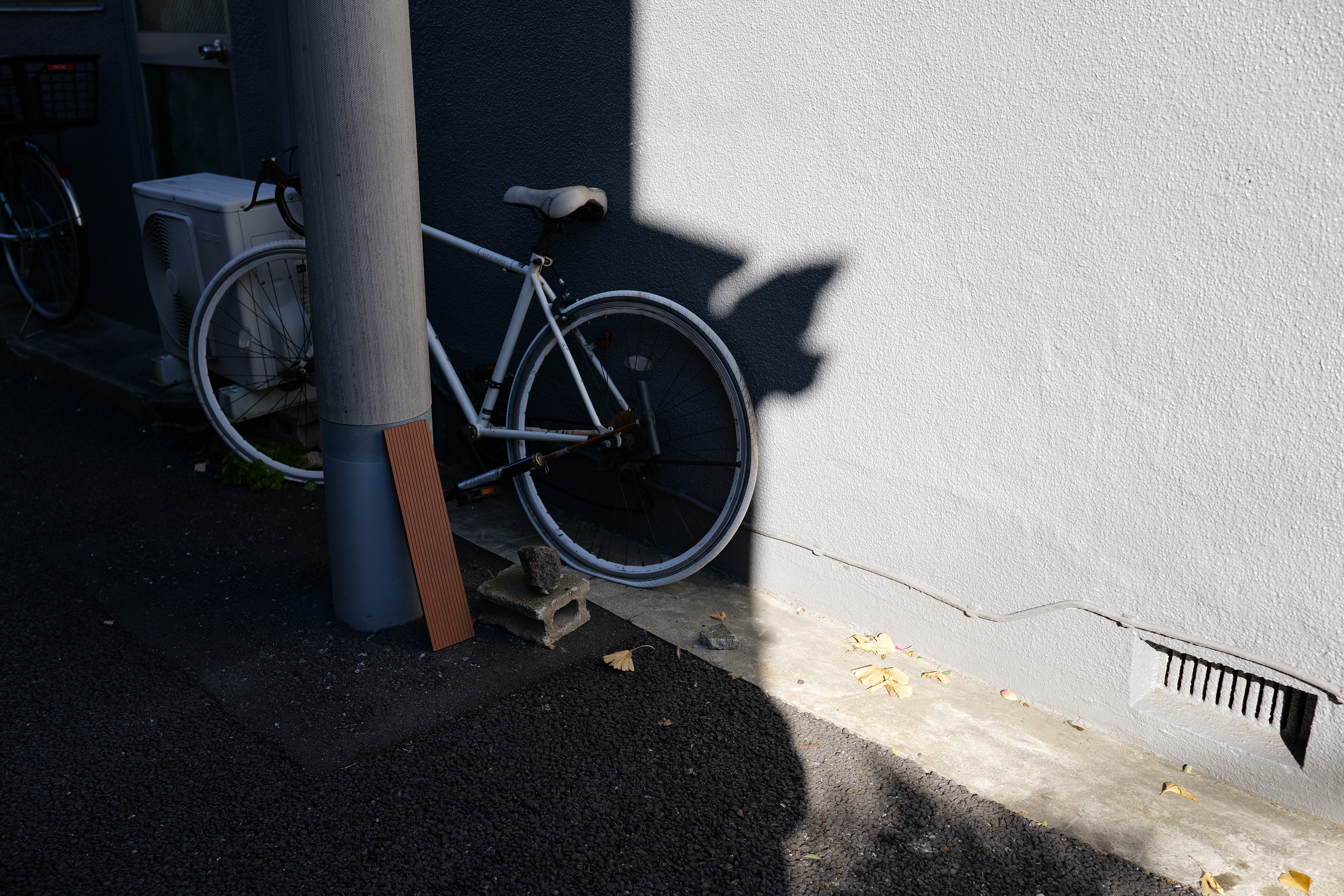 <span class="fnt-85">LUMIX S5 / LUMIX S 35mm F1.8 / プログラムAE（F3.5・1/400秒・-0.3EV） / ISO 100</span>