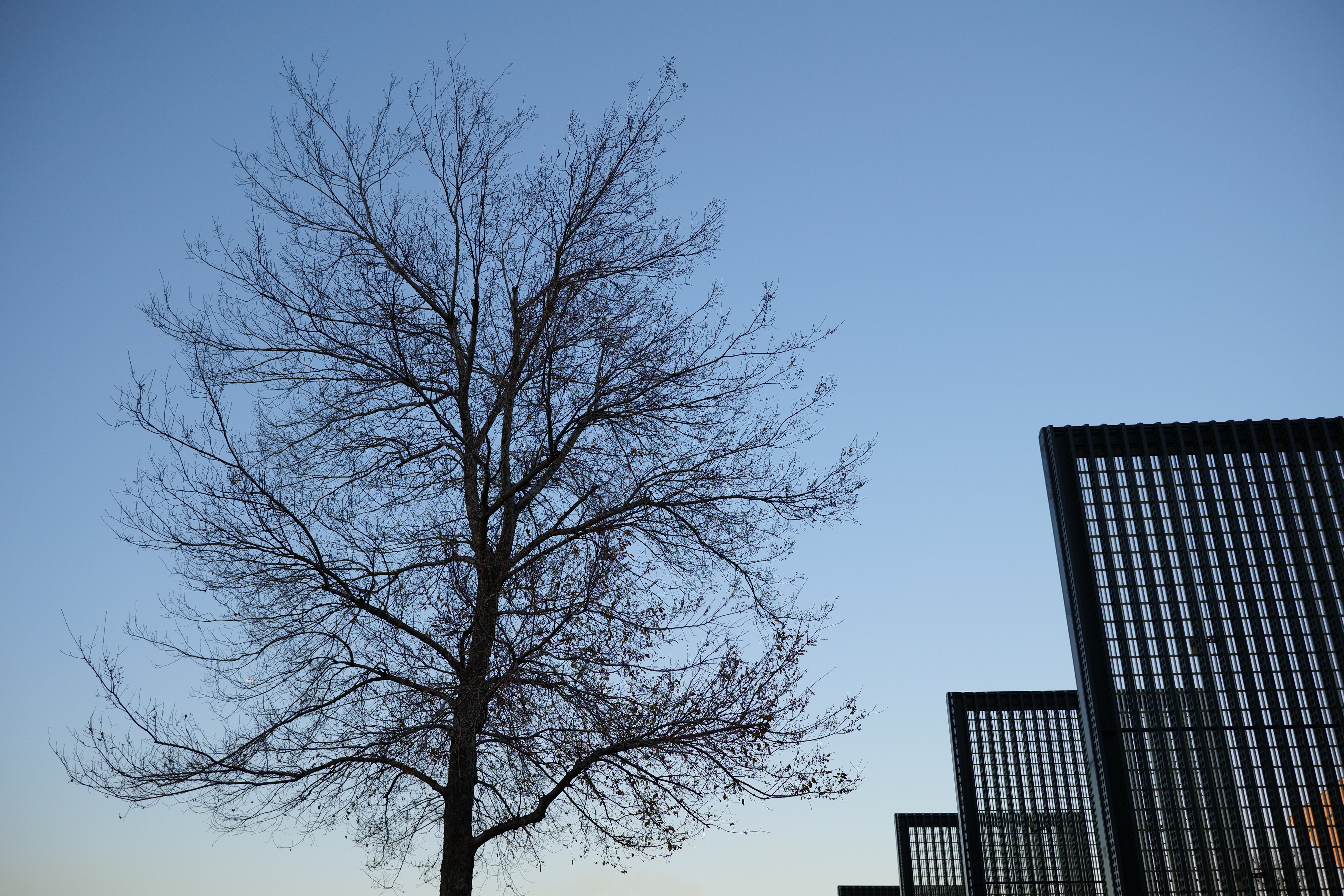 F2.8（1/1,250秒・ISO 400）