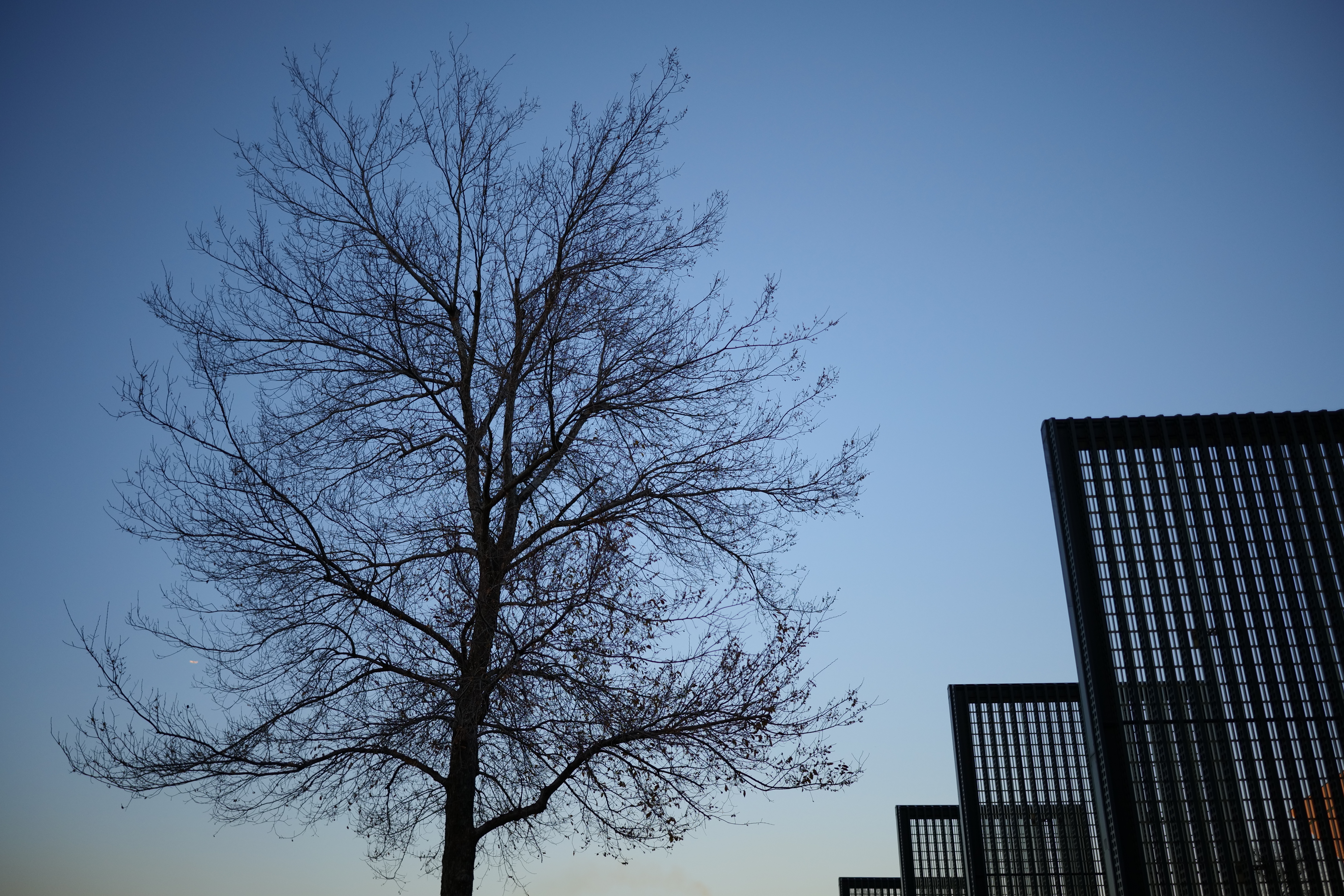 F1.8（1/2,500秒・ISO 400）