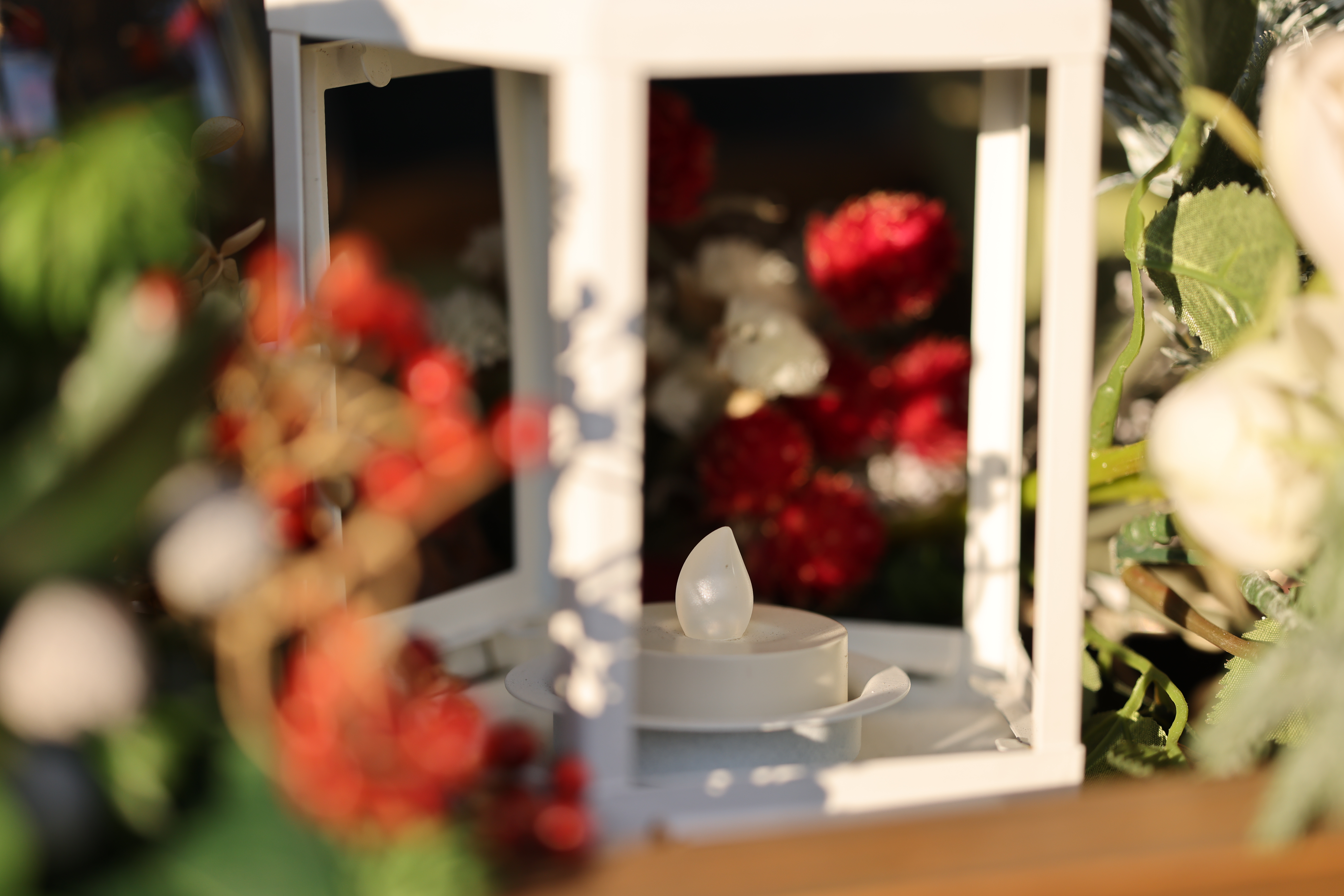 中央位置にセットした状態<br><span class="fnt-85">EOS R5 / RF100mm F2.8 L MACRO IS USM / 絞り優先AE（F2.8・1/800秒・-0.3EV） / ISO 100</span>