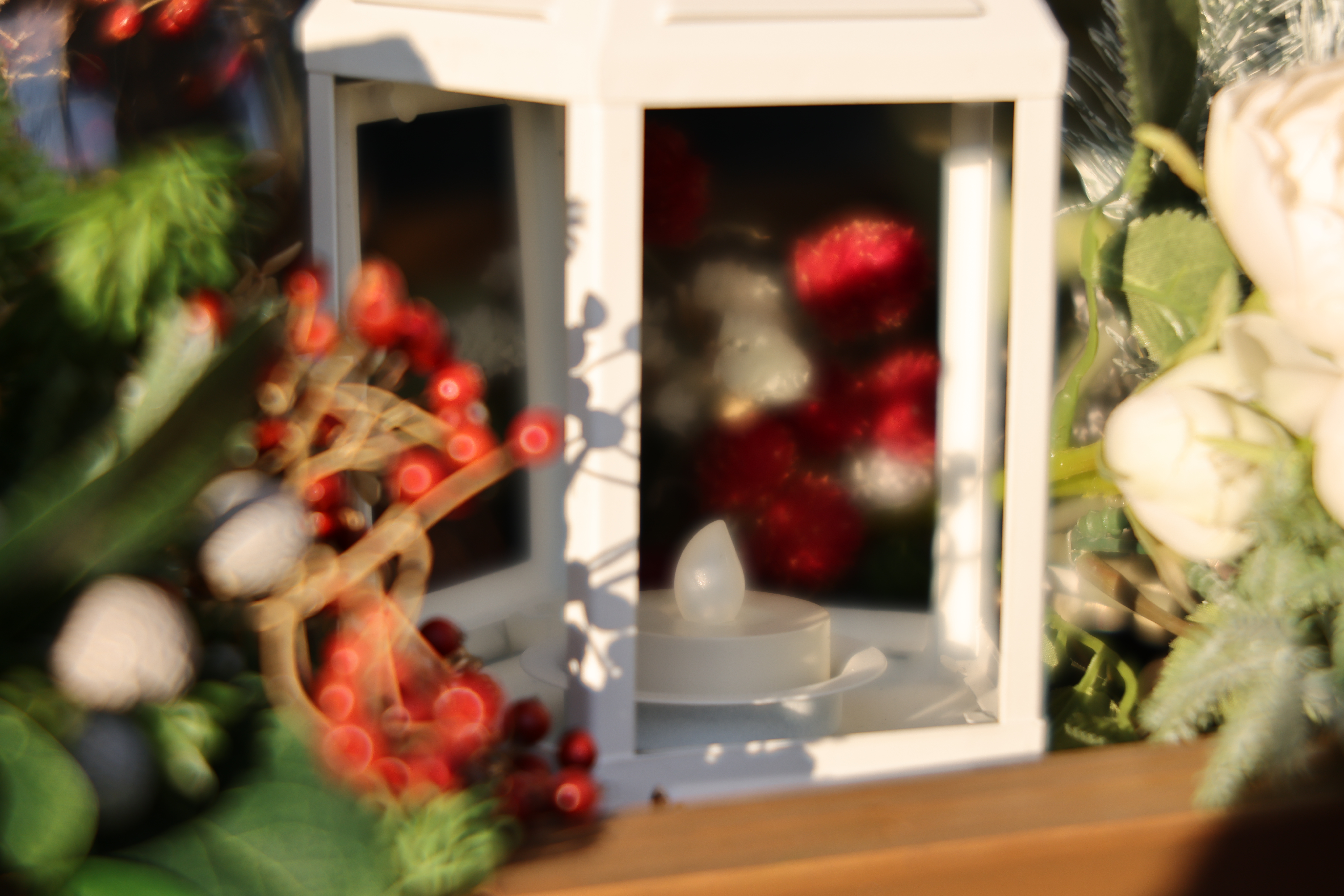 マイナス側に調整した状態。手前のボケが硬く、奥が柔らかな描写になる<br><span class="fnt-85">EOS R5 / RF100mm F2.8 L MACRO IS USM / 絞り優先AE（F2.8・1/1,000秒・-0.3EV） / ISO 100</span>