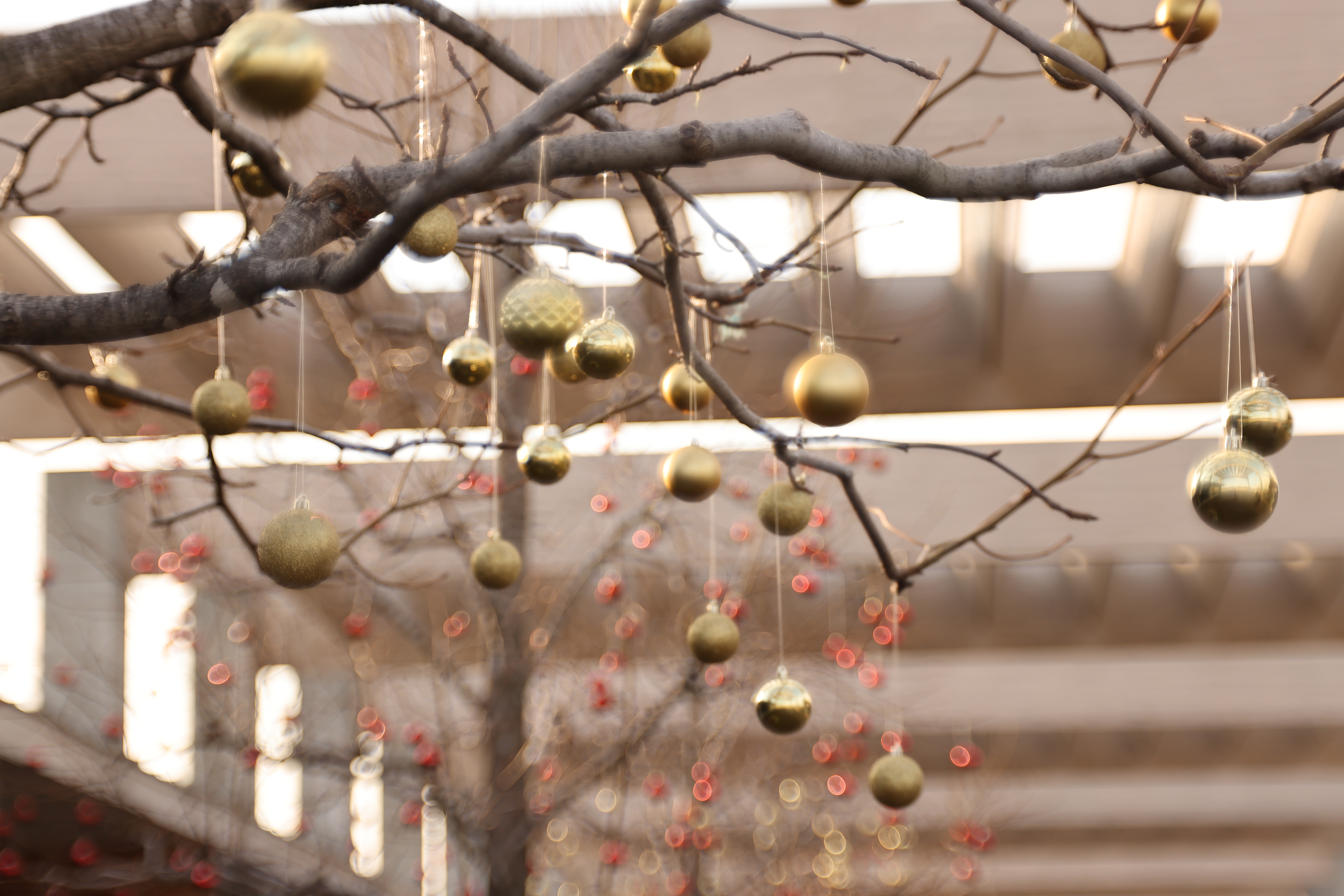 マイナス<br><span class="fnt-85">EOS R5 / RF100mm F2.8 L MACRO IS USM / 絞り優先AE（F2.8・1/320秒・+1.3EV） / ISO 100</span>