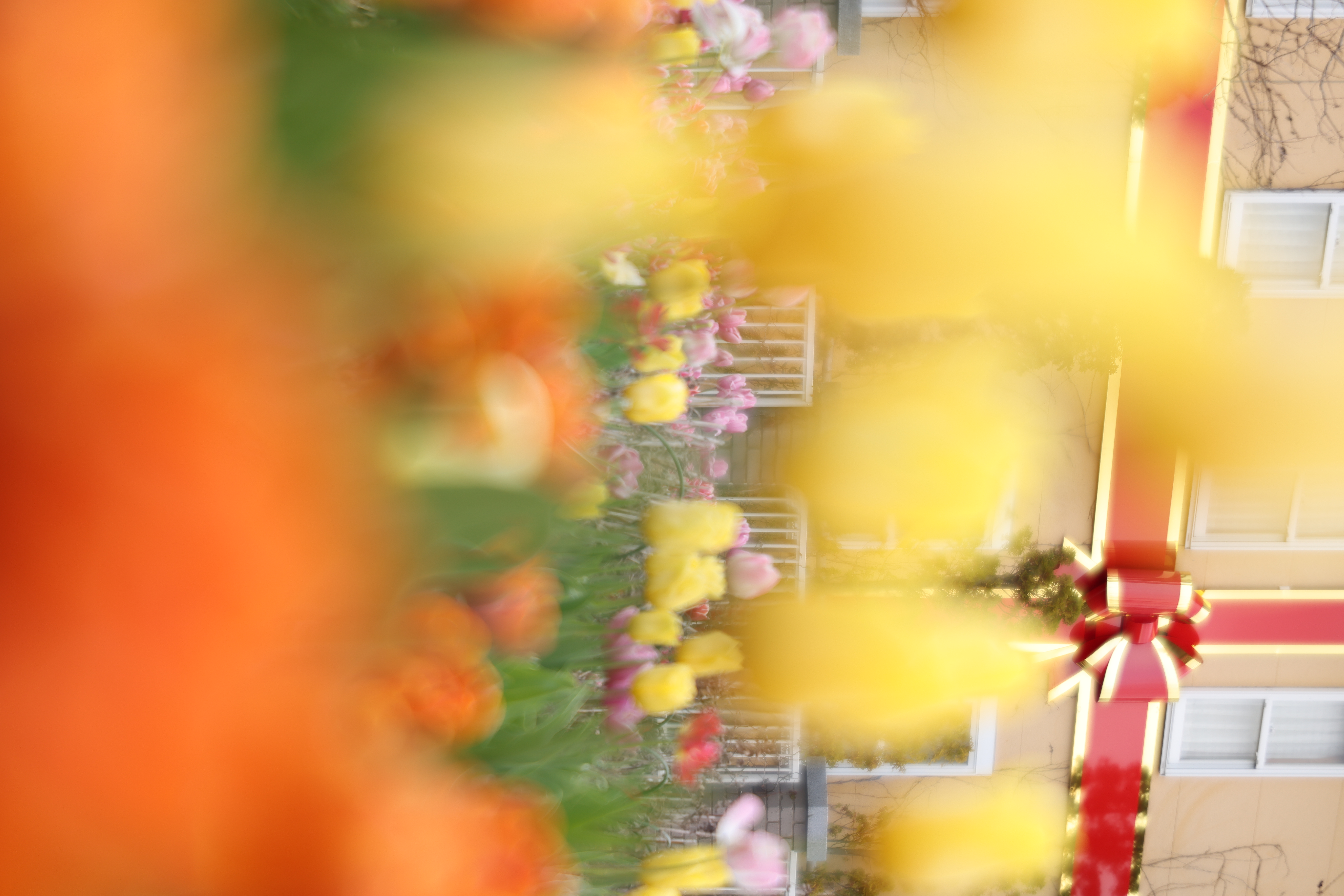 マイナス<br><span class="fnt-85">EOS R5 / RF100mm F2.8 L MACRO IS USM / 絞り優先AE（F2.8・1/125秒・+1.3EV） / ISO 100</span>