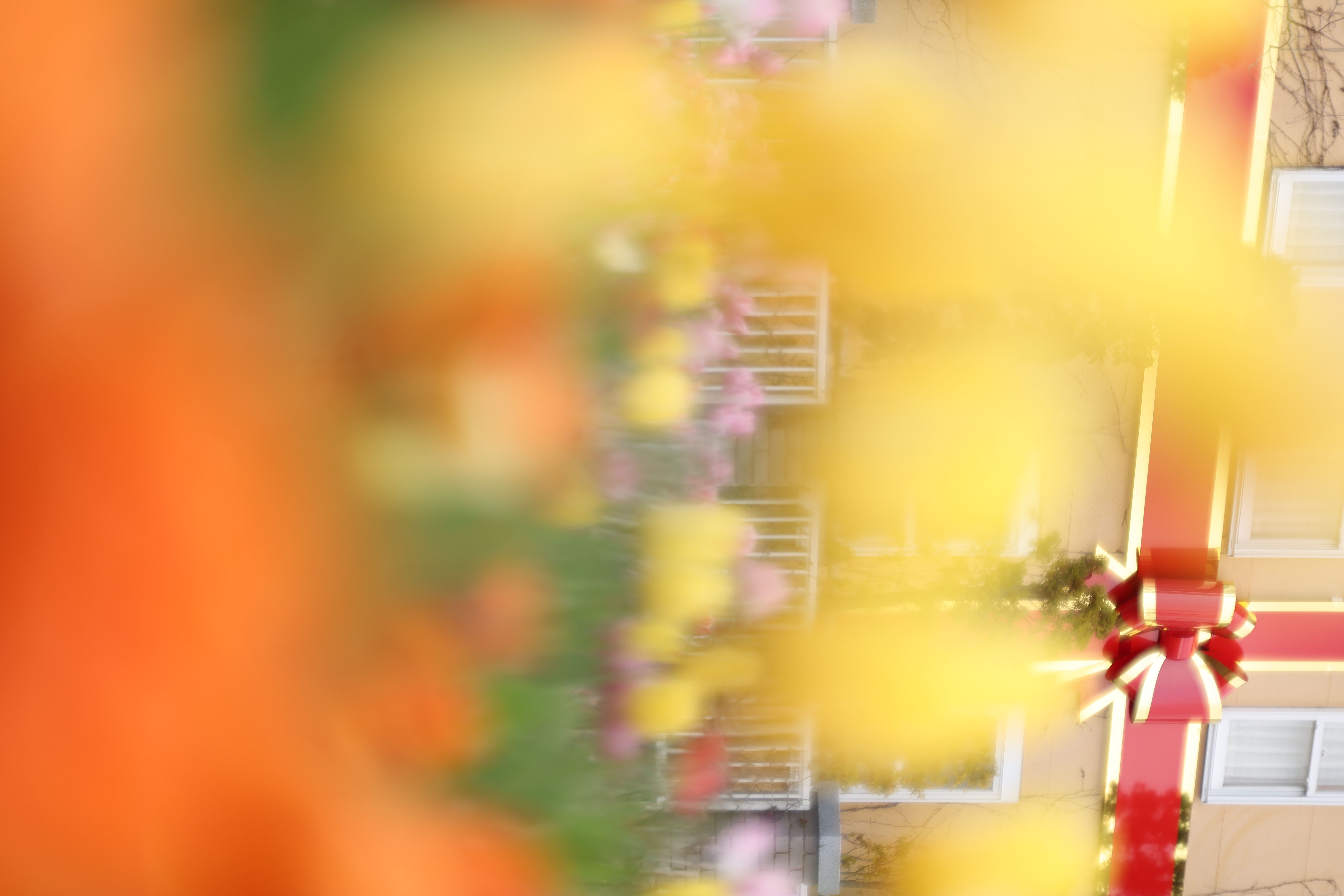 プラス。手前のぼけが柔らかくなっている<br><span class="fnt-85">EOS R5 / RF100mm F2.8 L MACRO IS USM / 絞り優先AE（F2.8・1/125秒・+1.3EV） / ISO 100</span>