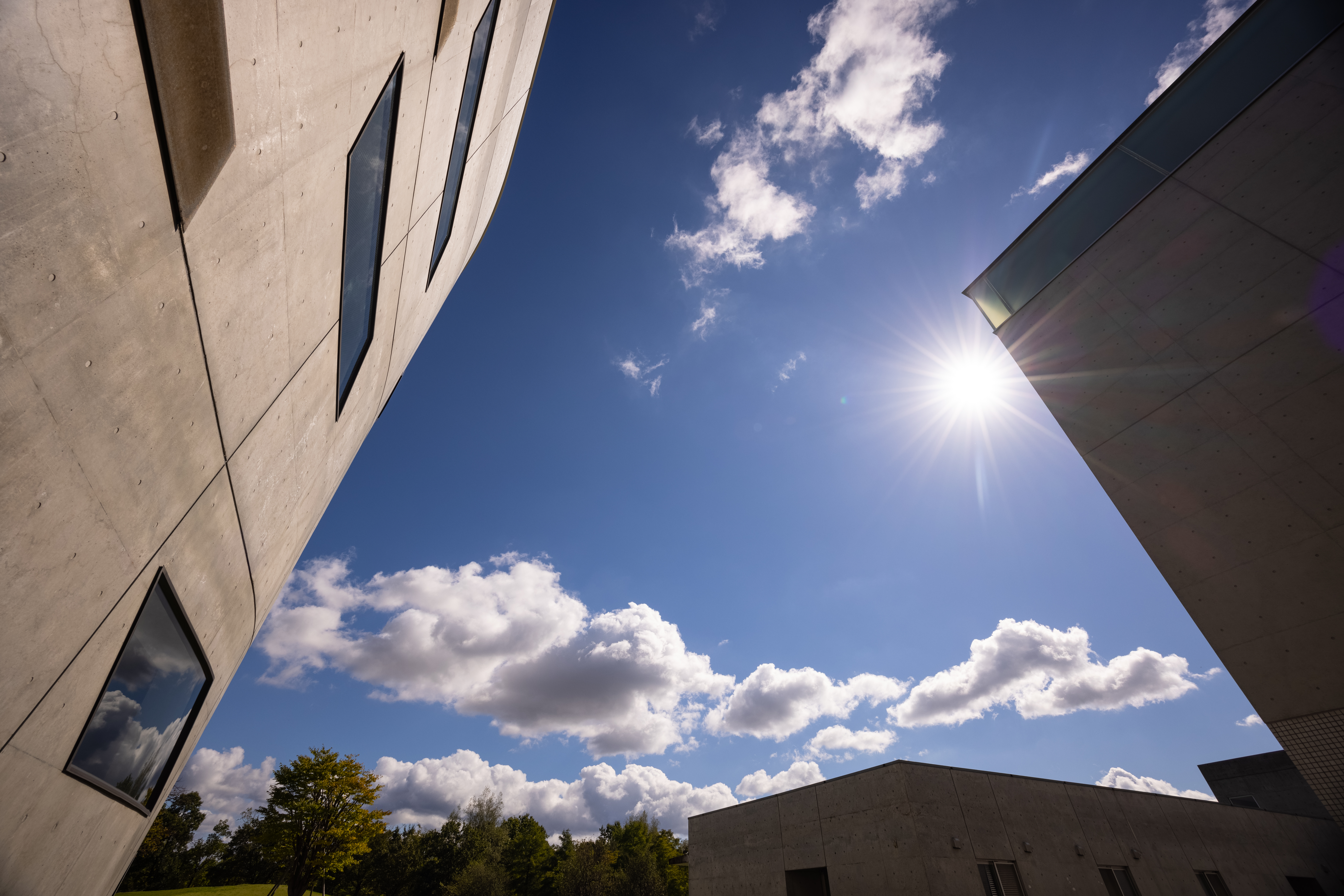 EOS R5 / RF14-35mm F4 L IS USM （14mm） / 絞り優先AE（F9.5・1/500秒・±0EV） / ISO 100