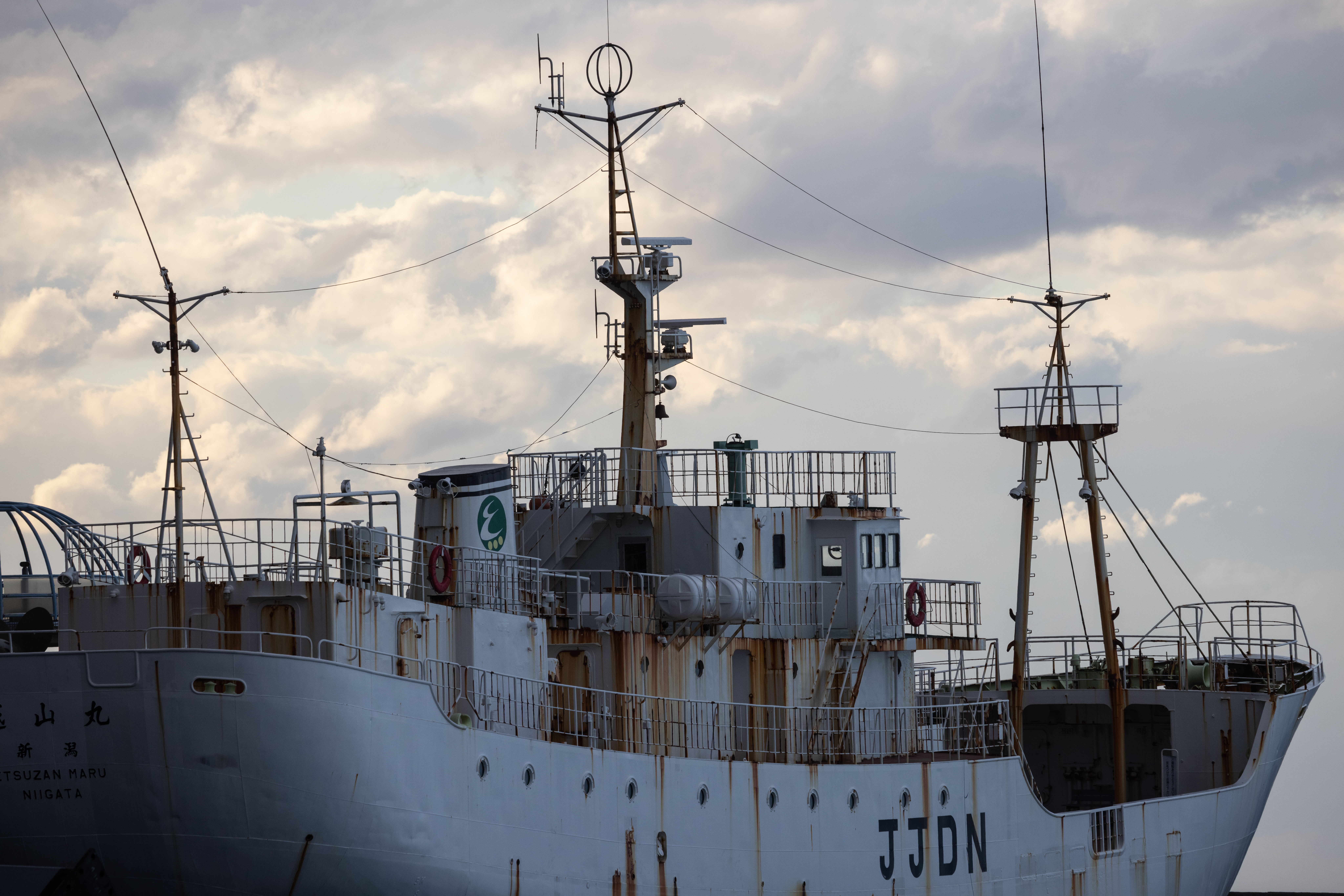 EOS R5 / RF100-400mm F5.6-8 IS USM（300mm） / 絞り優先AE（F11・1/500秒・+0.5EV） / ISO 400