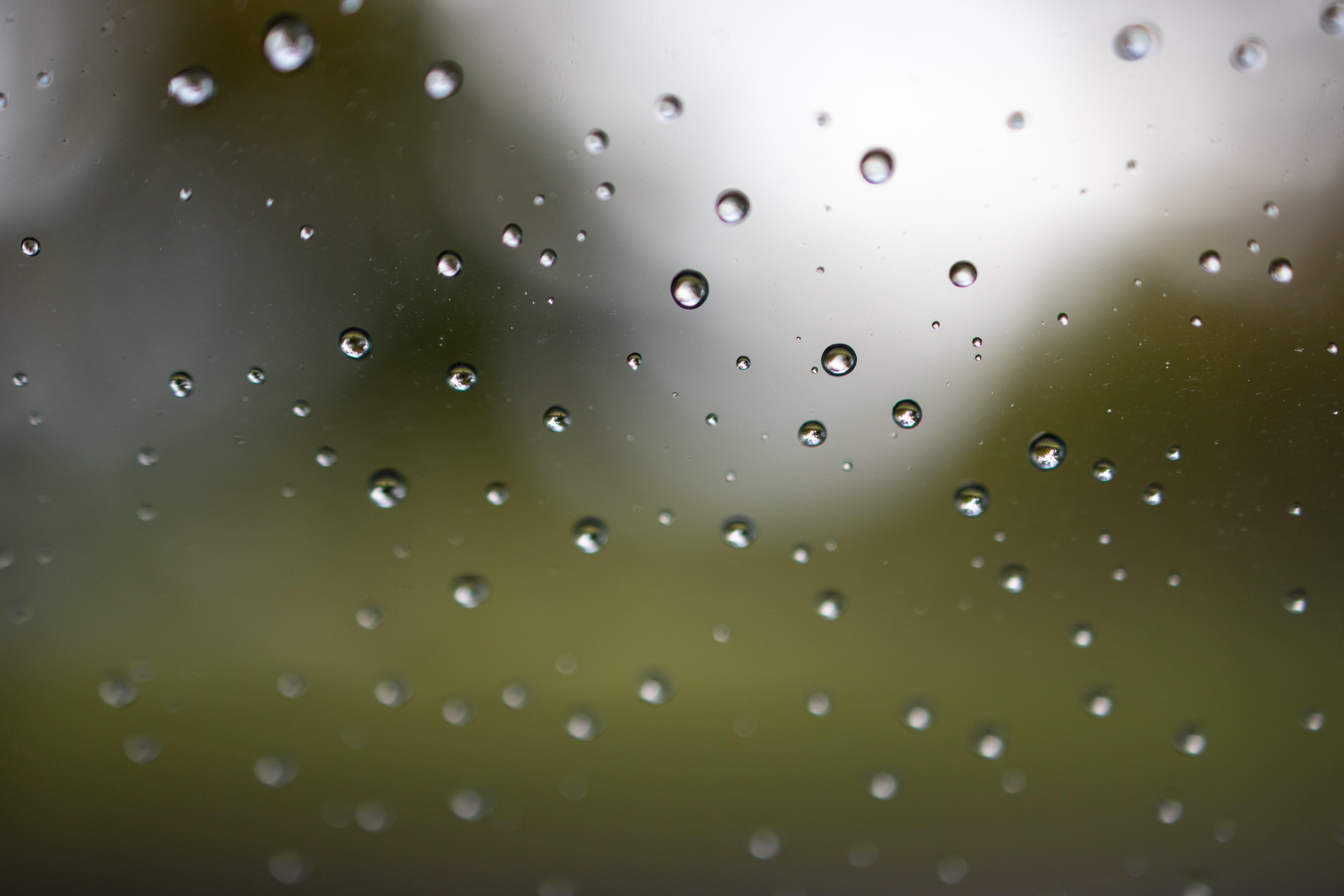 EOS R5 / RF35mm F1.8 MACRO IS STM / 絞り優先AE（F1.8・1/3,000秒・±0EV） / ISO 400