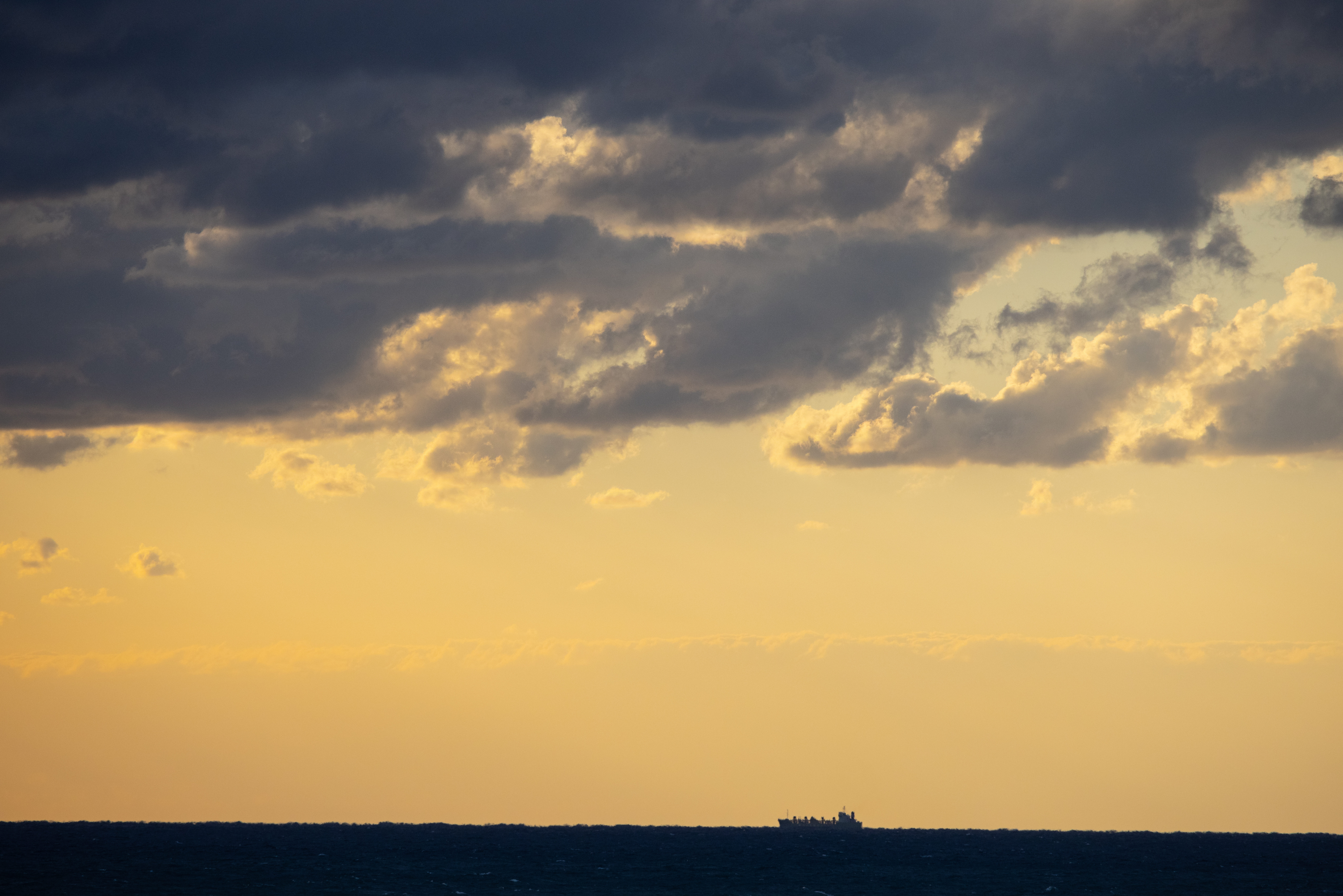 EOS R5 / RF100-400mm F5.6-8 IS USM（281mm） / 絞り優先AE（F9.5・1/1,500秒・±0EV） / ISO 800