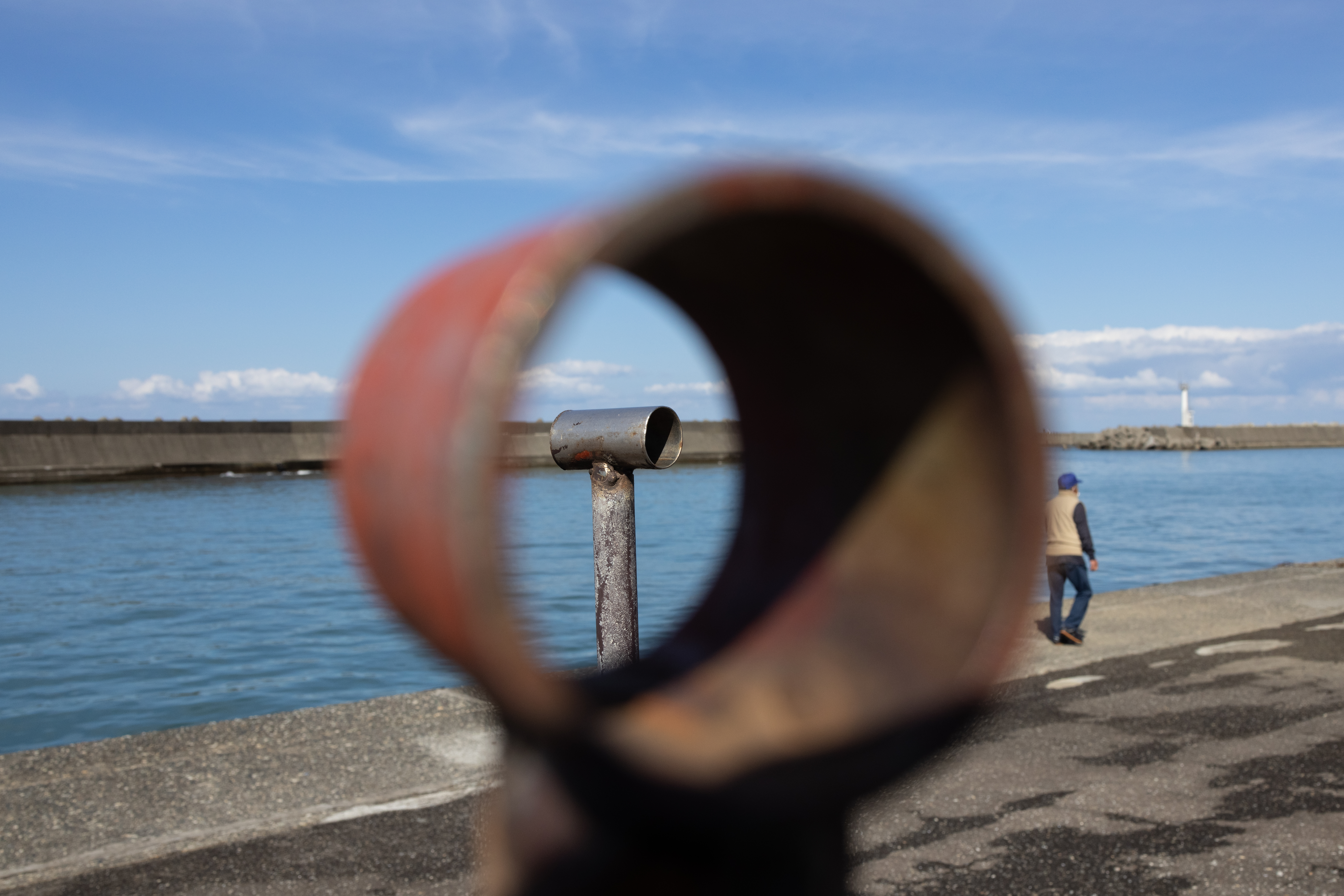 EOS R5 / RF35mm F1.8 MACRO IS STM / 絞り優先AE（F9.5・1/2,000秒・-1.0EV） / ISO 400