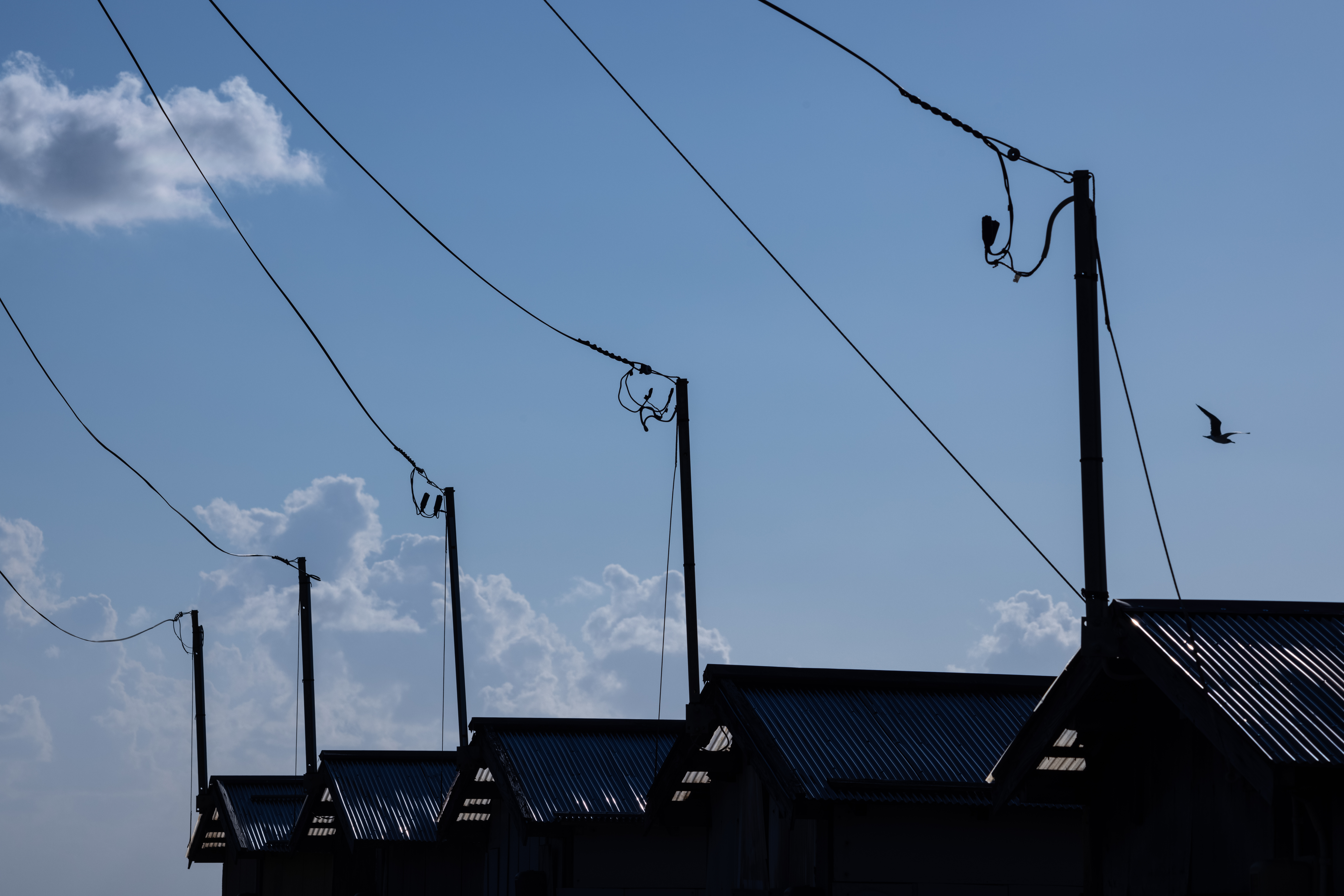 EOS R5 / RF100-400mm F5.6-8 IS USM（165mm） / 絞り優先AE（F13・1/750秒・-0.5EV） / ISO 100