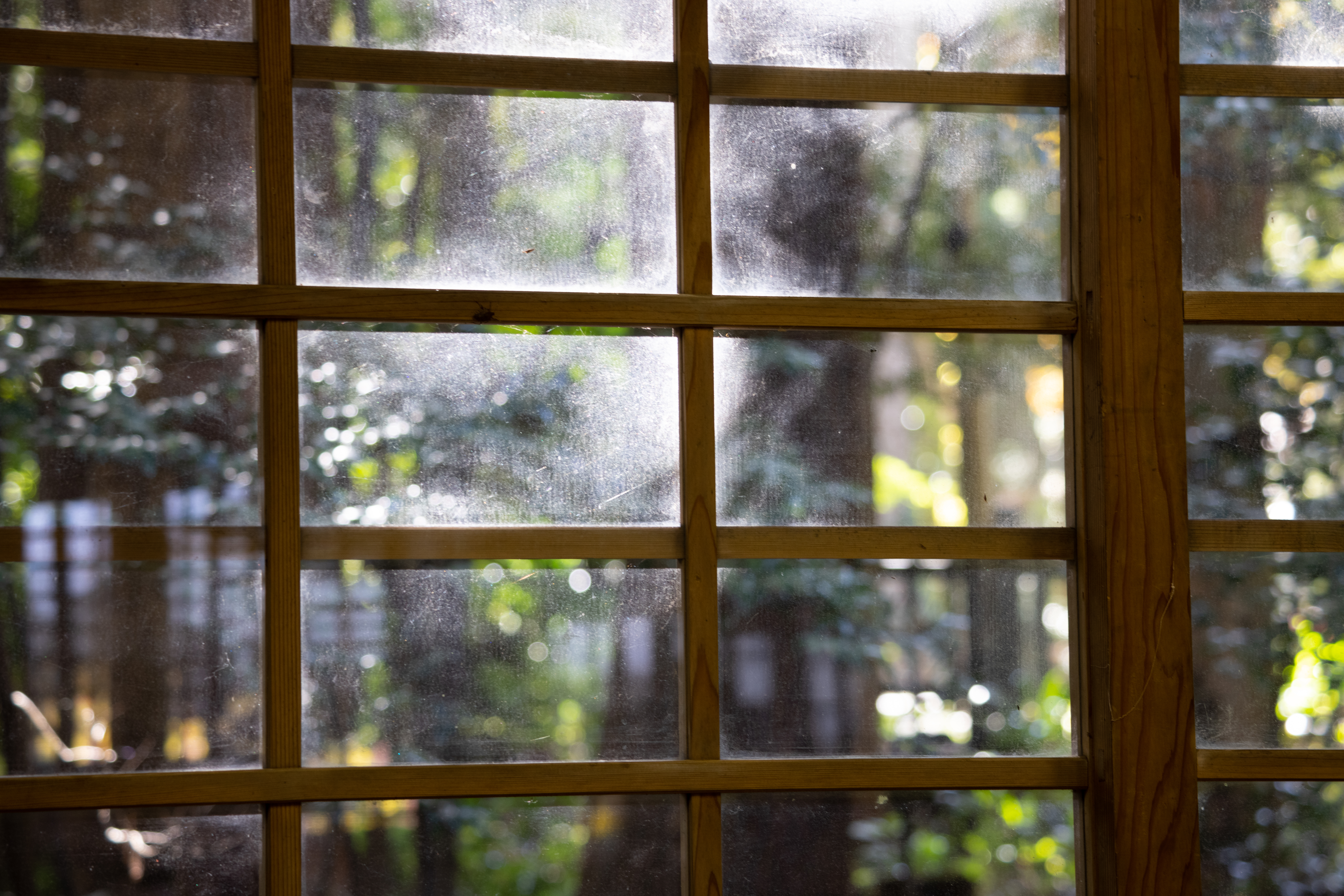 EOS R5 / RF100-400mm F5.6-8 IS USM（141mm） / 絞り優先AE（F6.7・1/10秒・±0EV） / ISO 400