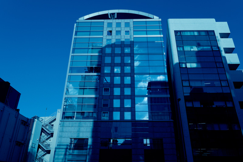 まるでタングステンフィルムを屋外で使用したような、真っ青な仕上がりだ。コダックのリバーサルフィルムElite100をネガ現像したプリセットも選べる。