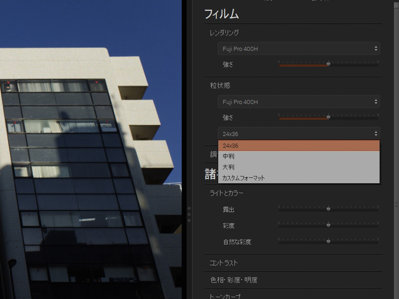 粒状は35mm判の24×36がベースだが、中判や大判も選べる。さらにカスタムフォーマットは「強さ」と「粒子サイズ」がスライダーで調整できる。