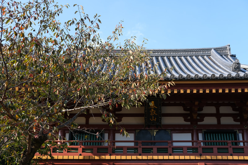 オリジナルのJPEG画像