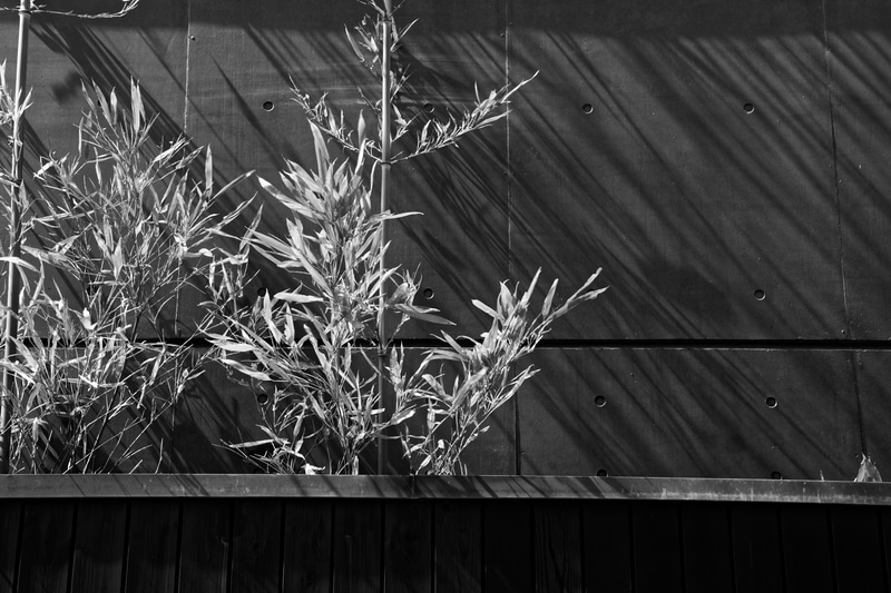 「1942年-AA」。“AA”とは、黒から白までの階調を段階（ゾーン）に区切って最適な露出と現像結果を得る「ゾーンシステム」を考案したアメリカの風景写真の大家、アンセル・アダムスのことだ。適度なコントラストで壁に映る影もしっかり表現できた。