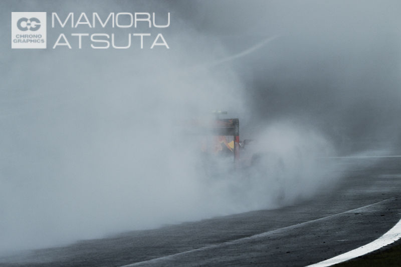 EOS-1D X　EF400mm F2.8L IS II USM+EF2× III（F13・1/500秒）ISO 500