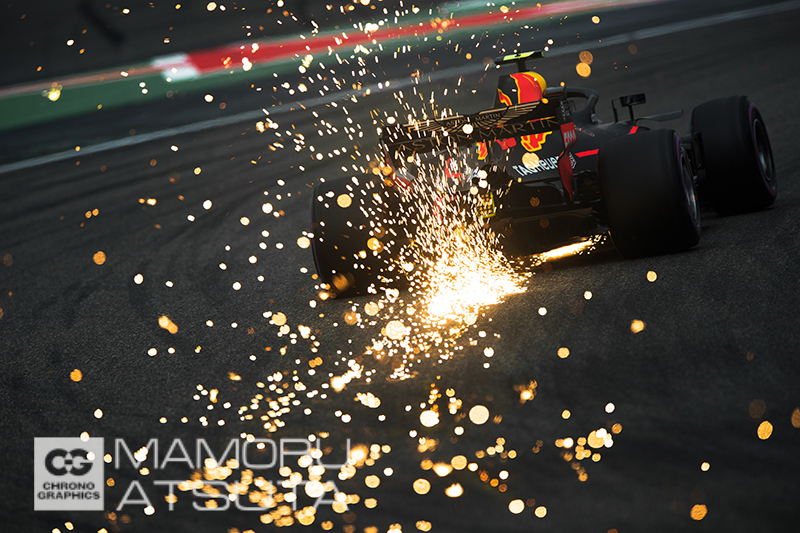 EOS-1D X Mark II　EF400mm F2.8L IS II USM+EF1.4× III（F4.5・1/800秒）ISO 500