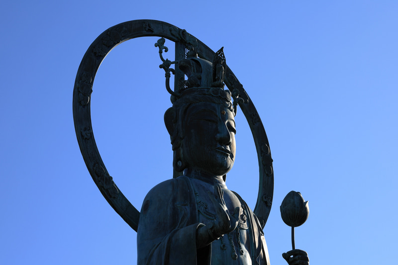 逆光でシルエットだと、フォーカスは輪郭に行くんじゃないかと予想していたら、きちんと顔を検知します。お前のやることなんか想定内だぜ、と言われている気分になりました。<br>EOS R3　RF70-200mm F4 L IS USM（F8・1/400秒）ISO 100