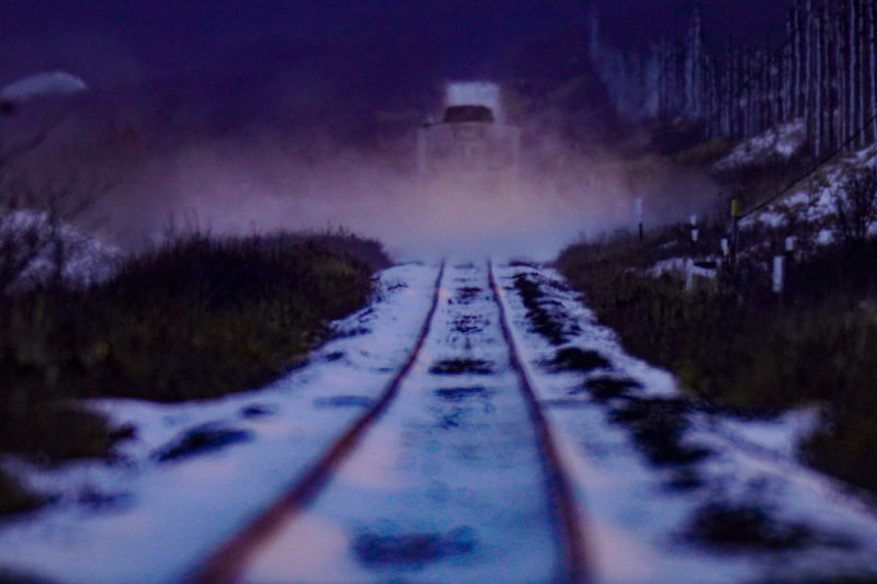 ソニーα7R IV　FE 600mm F4 GM OSS+2X Teleconverter（クロップ1800mm相当） マニュアル露出（F8・1/800秒）ISO 800　WB：太陽光