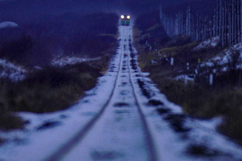 ソニーα7R IV　FE 600mm F4 GM OSS+2X Teleconverter（クロップ1800mm相当） マニュアル露出（F8・1/1,000秒）ISO 800　WB：太陽光