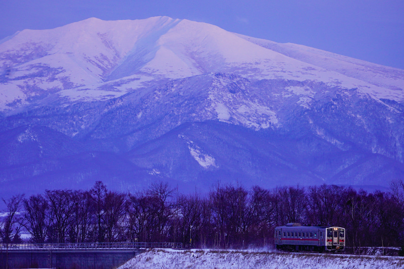 ソニーα7R IV　FE 100-400mm F4.5-5.6 GM OSS（291mm）　マニュアル露出（F5.6・1/400秒）ISO 200　WB：太陽光