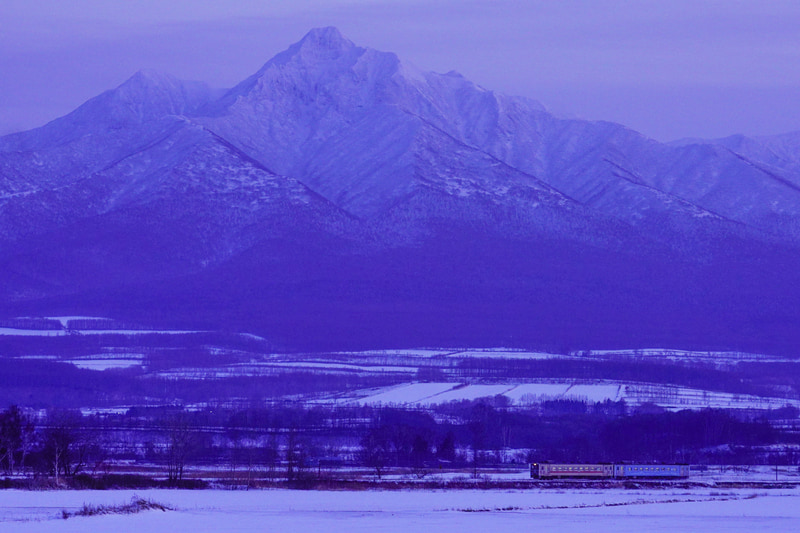 ソニーα7R IV　FE 70-200mm F2.8 GM OSS（175mm）　マニュアル露出（F4・1/320秒）ISO 800　WB：太陽光
