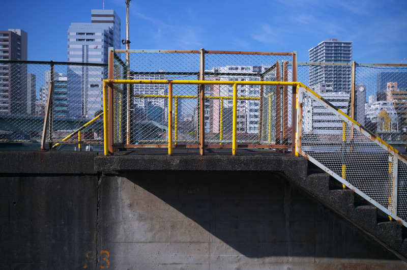 古いズマリット50mm F1.5レンズを使いました。このレンズは絞り込まずに開放値近辺のヘンなフレアやボケを楽しむレンズと言われます。筆者はそうした使い方に関心は低く、フツーの撮影にも使います。絞り込んでも画面中央と周辺域には差があり、周囲の金網がブレたように写りますが写真表現としては問題ないですね。<br>ライカM11　ズマリット F1.5/50mm（F5.6・1/1,000秒）ISO 200