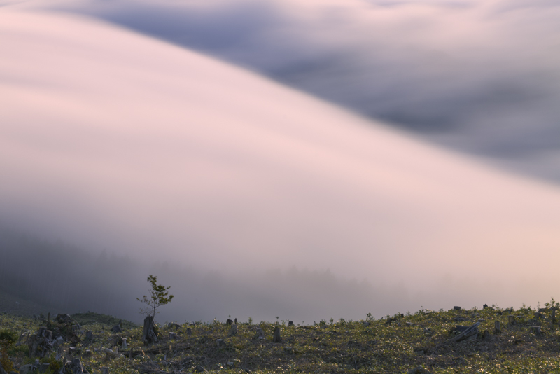 ベールのように背景を覆い隠す雲海を望遠側で切り取る。2本の三脚を持っていける重さなので、短いチャンスでさまざまなアプローチにトライできる<br><span class="fnt-85">Leica SL2 / Leica APO-Vario-Elmarit-SL 90-280mm f/2.8-4/90mm / 絞り優先AE（F22、15秒、-2.0EV） / ISO 100 / WB:昼光</span>