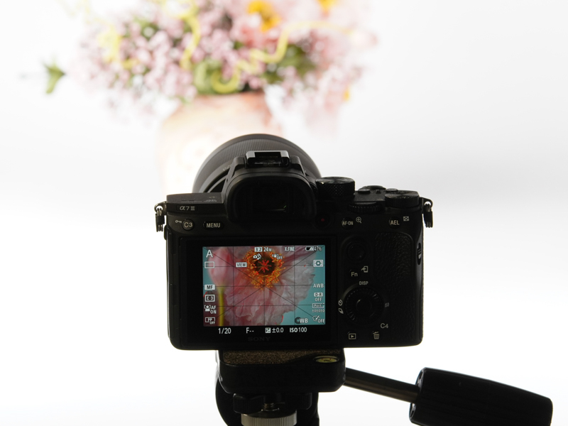 最短撮影距離は1.7m。最大撮影倍率は1:2.86