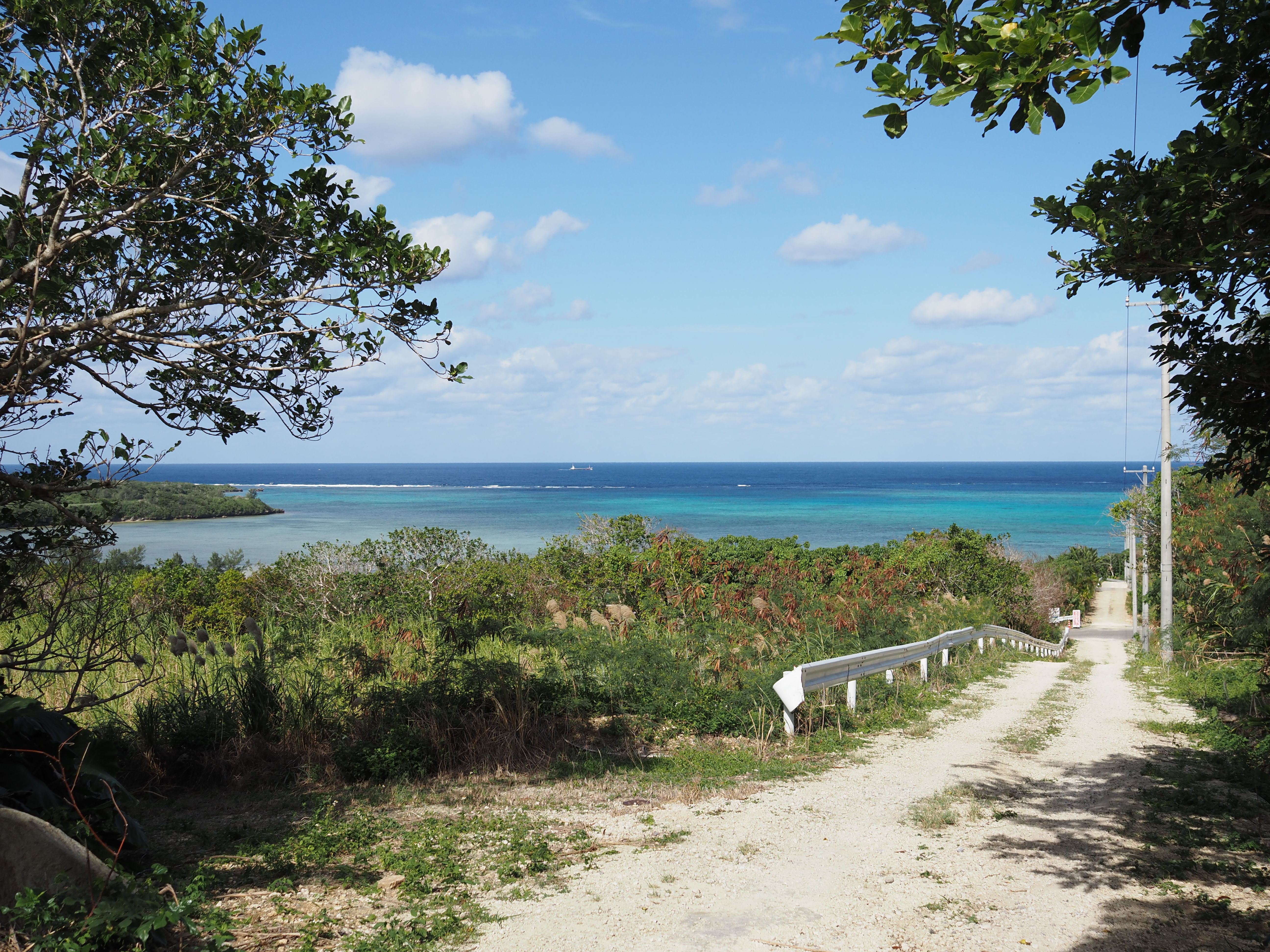 E-M5 Mark III　M.ZUIKO DIGITAL ED 20mm F1.4 PRO　絞り優先AE（F4・1/2,500秒・+0.3EV）　ISO 200
