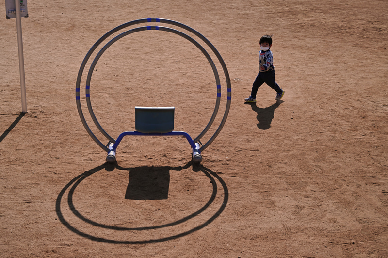 レンズフードはそんなにこだわった形状や材質じゃないんですが、逆光の時には役立ちますね。光線状態の変化でも性能が変わらない優秀な標準ズームレンズですね。<br>SIGMA fp L　28-70mm F2.8 DG DN | Contemporary（F8.0・1/2,500秒）ISO 400