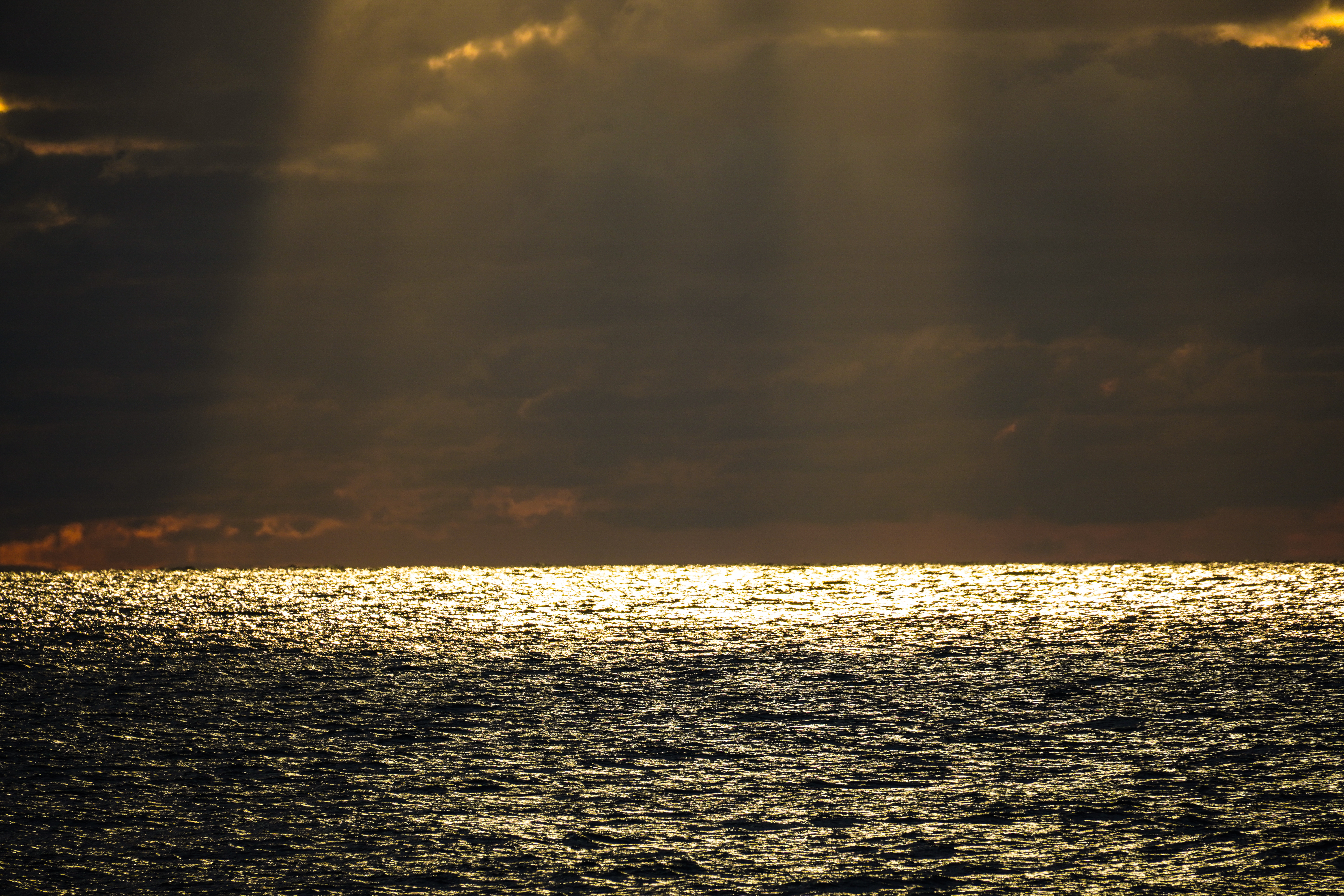 <span class="fnt-85">ZV-E10 / E 70-350mm F4.5-6.3 G OSS（350mm） / 絞り優先AE （F6.3・1/640秒・±0EV）/ ISO 100</span>