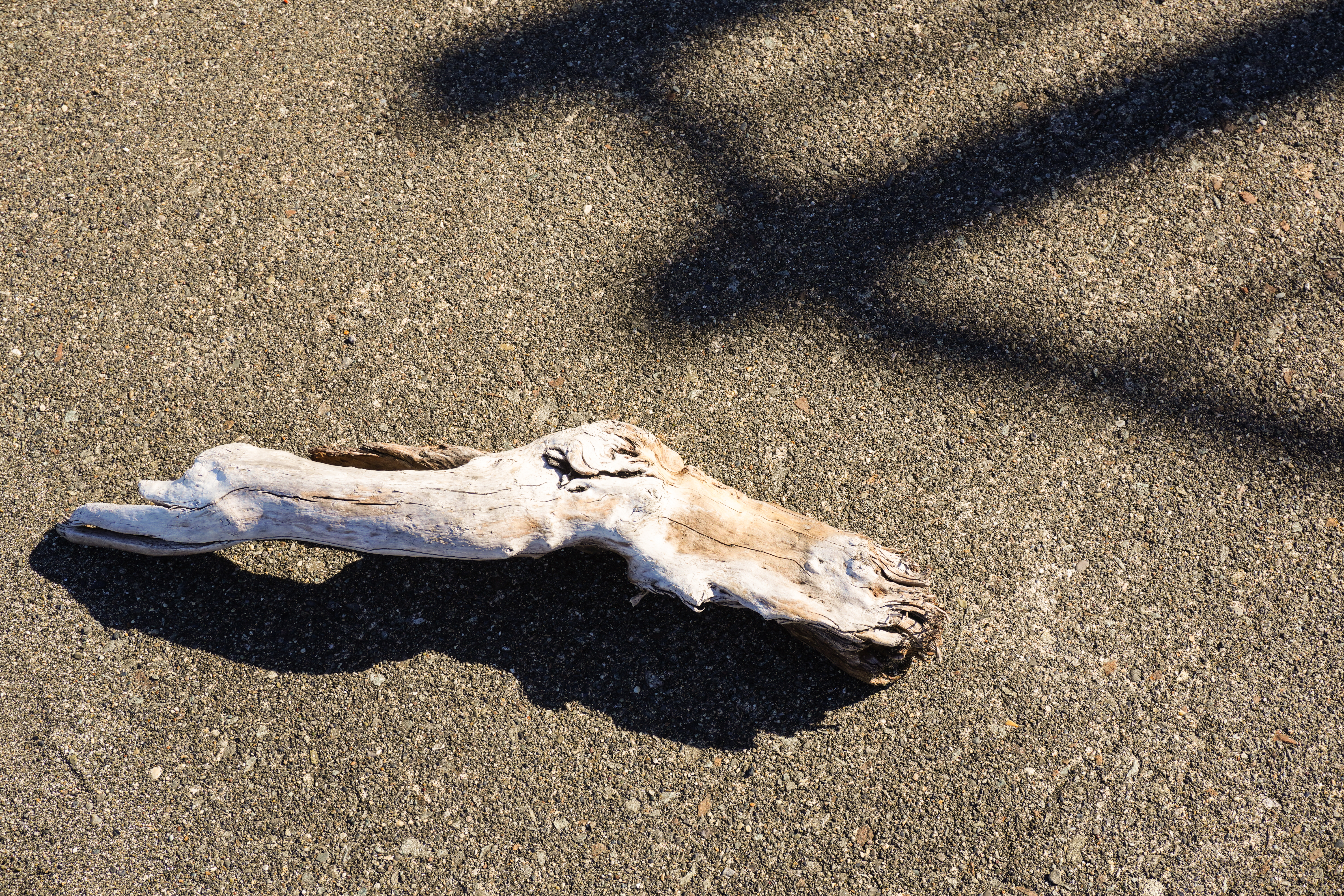 <span class="fnt-85">ZV-E10 / E PZ 16-50mm F3.5-5.6 OSS  (29mm)/ 絞り優先AE（F8・1/250秒・±0EV）/ ISO100</span>