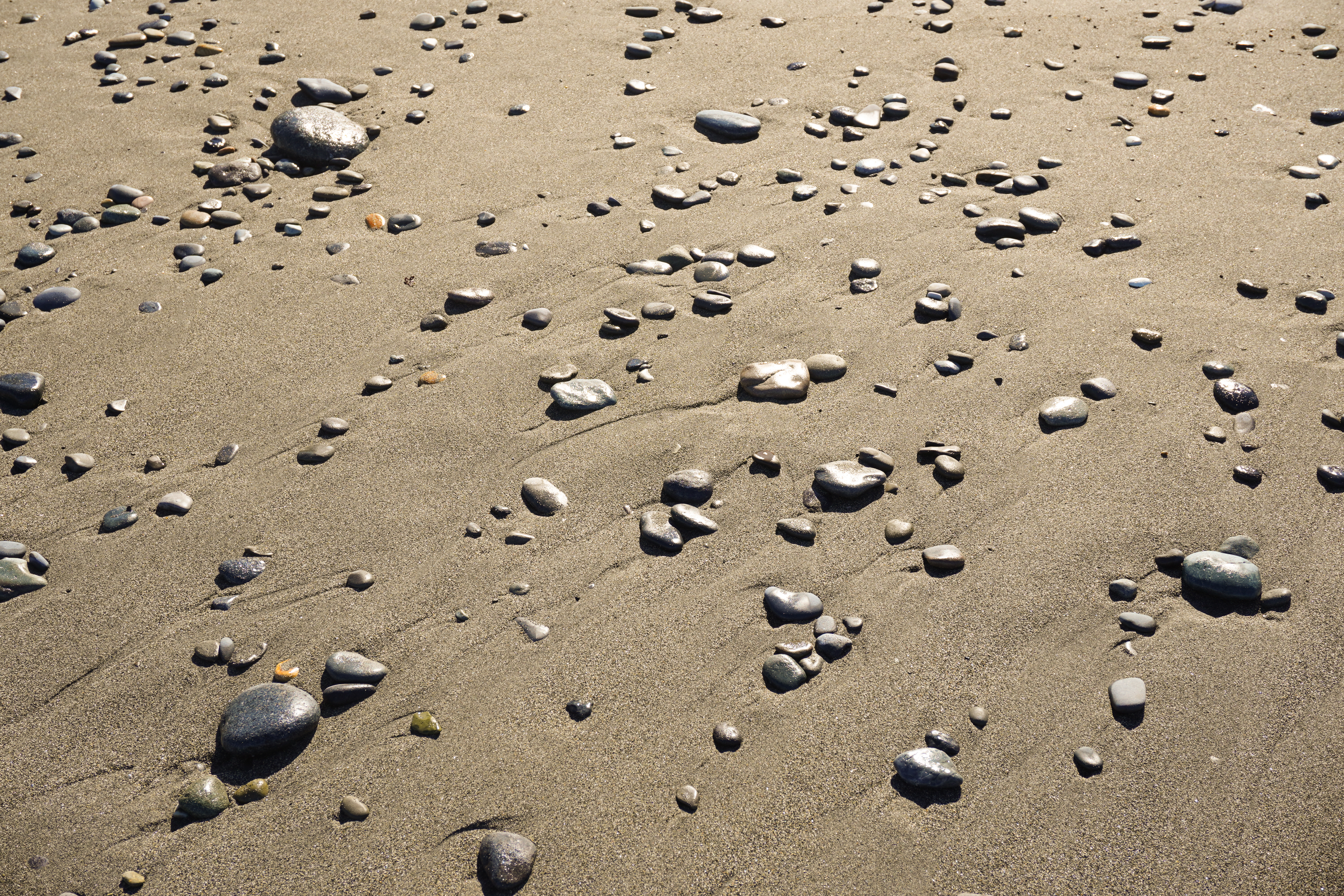 <span class="fnt-85">ZV-E10 / E PZ 16-50mm F3.5-5.6 OSS（29mm） / 絞り優先AE（F8・1/250秒・±0EV） / ISO 100</span>