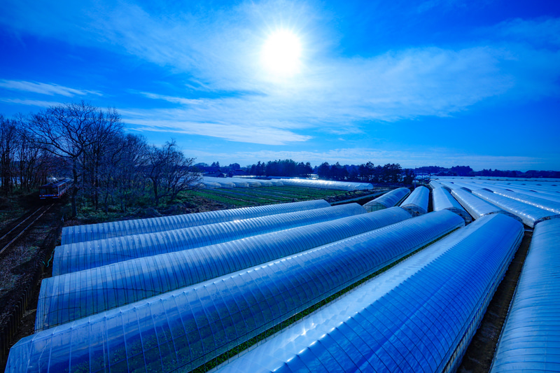 ソニーα1　FE 16-35mm F2.8 GM（16mm）　絞り優先オート（F18、1/500秒）　ISO 200　WB:太陽光