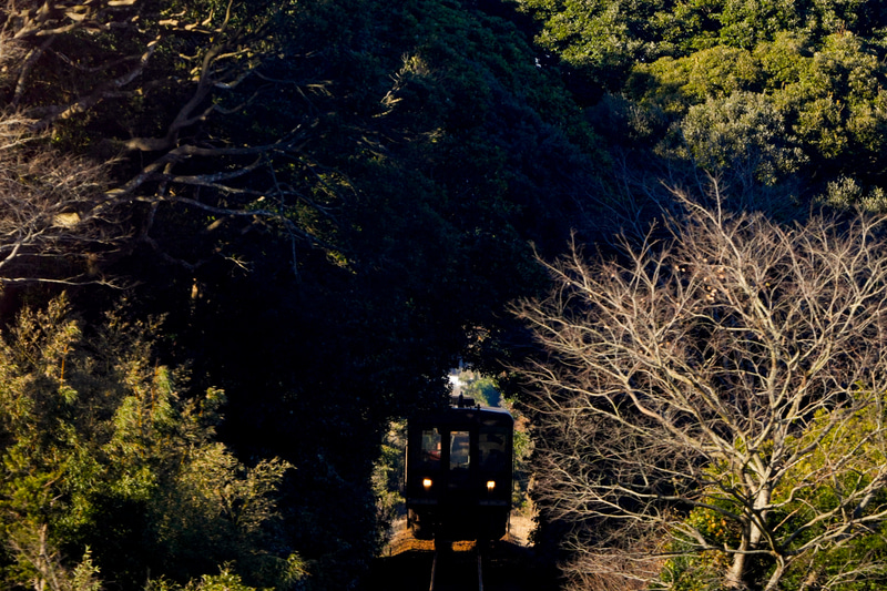 ソニーα1　FE 200-600mm F5.6-6.3 G OSS（700mm相当）　絞り優先オート（F10、1/400秒）　ISO 400　WB:太陽光