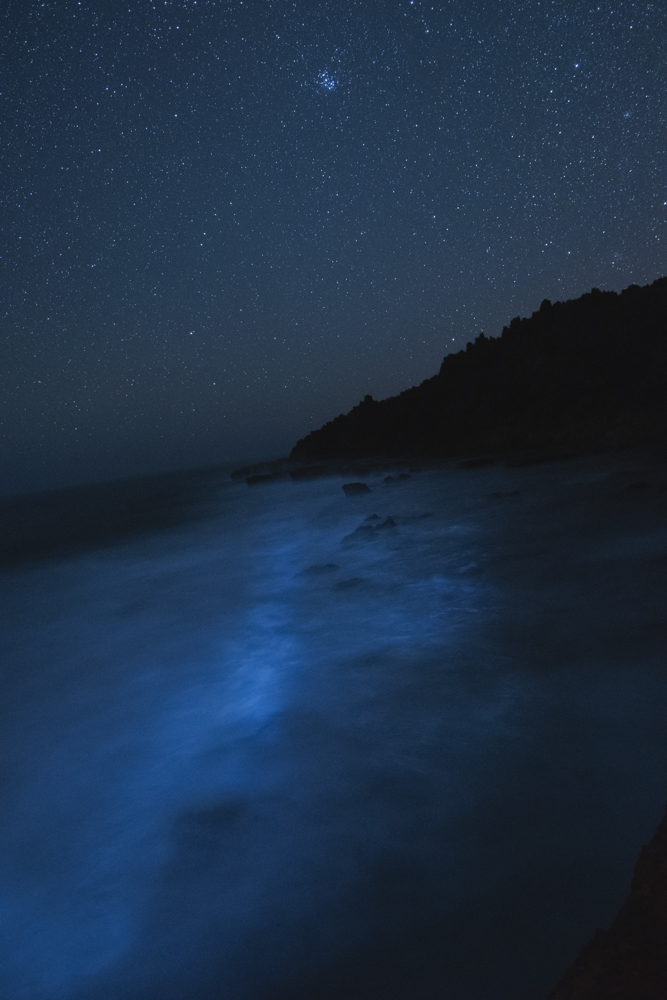 西の空に傾くおうし座とプレアデス。赤道儀で星の動きを止め、地上はブレでシャープさが失われないうちに露光を切り上げる。21mm相当なので30秒程度が頃合いだ<br><span class="fnt-85">D500 / AF-S NIKKOR 14-24mm f/2.8G ED / 14mm（21mm相当） / マニュアル露出（F2.8、30秒） / ISO 5000 / WB:白熱電球 / 赤道儀を使用</span>